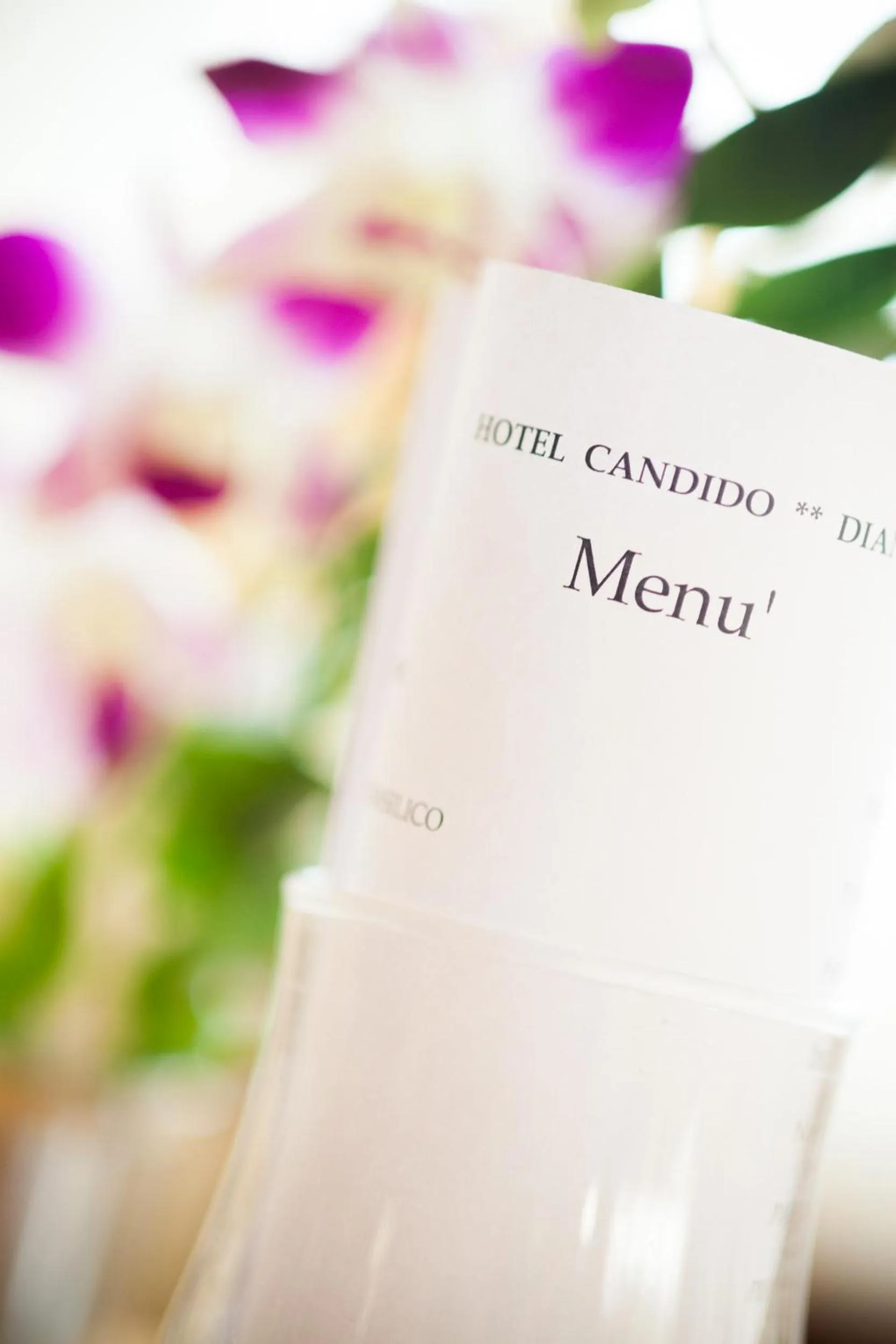 Entertainment in Hotel Candido