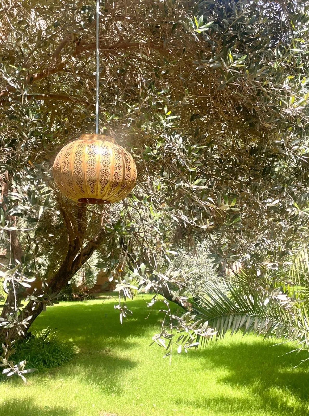 Garden view in Riad le Jasmin