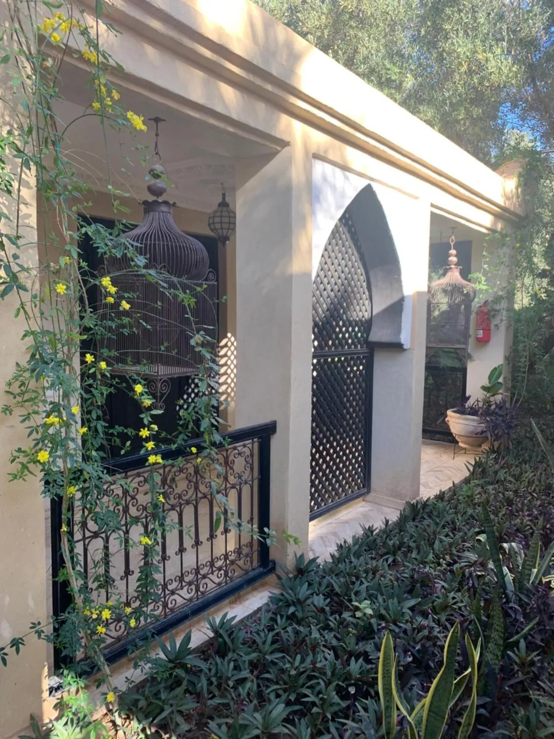 Patio in Riad le Jasmin