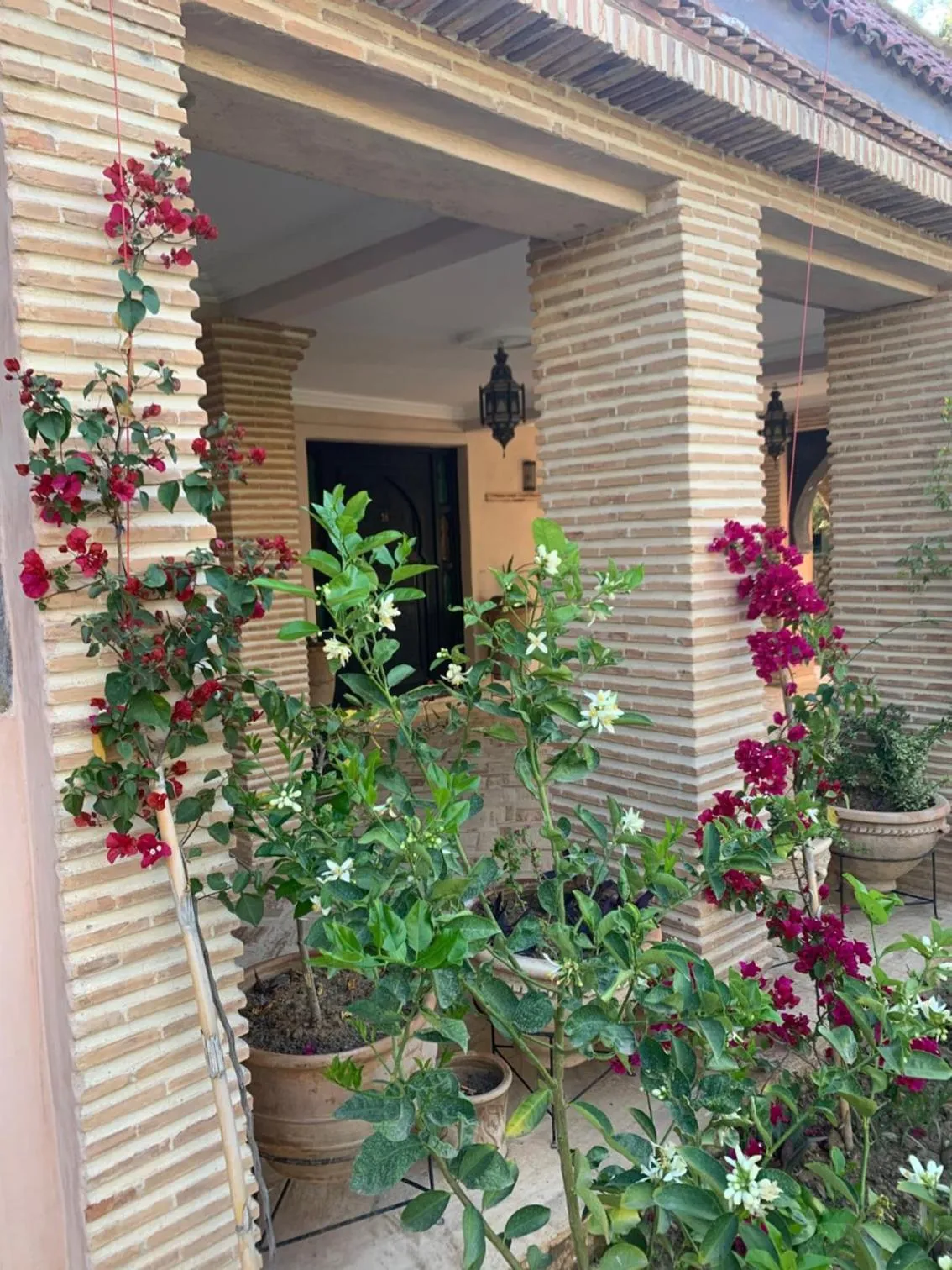 Balcony/Terrace in Riad le Jasmin