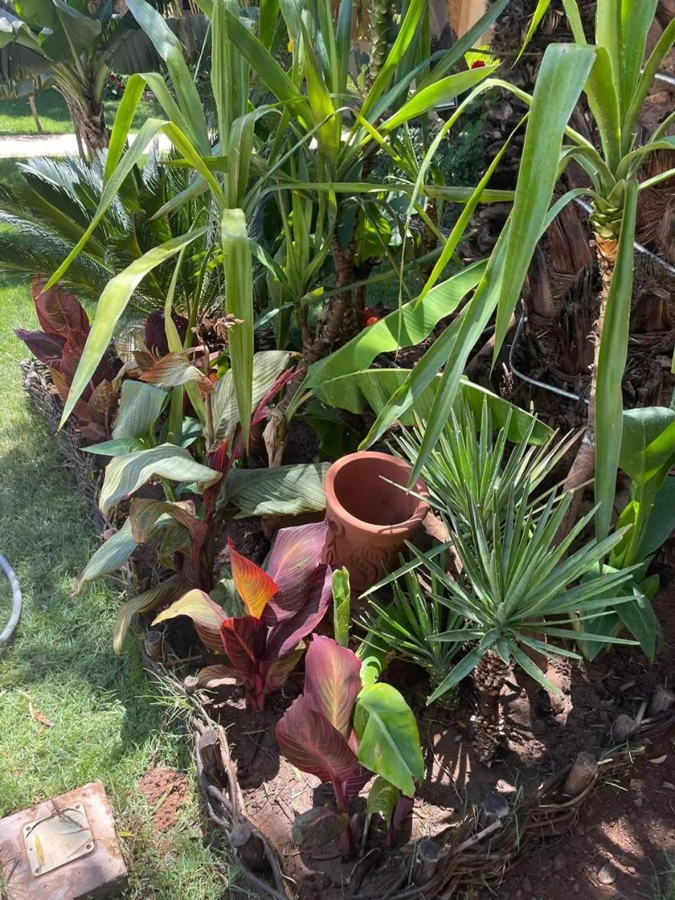 Garden in Riad le Jasmin