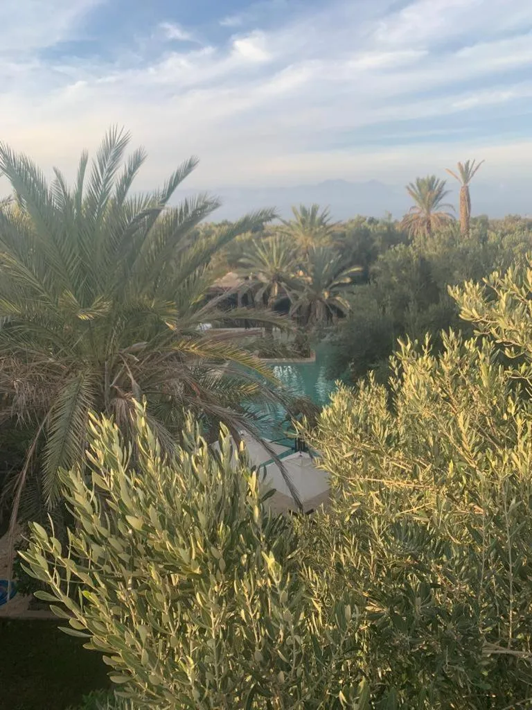 Garden view in Riad le Jasmin