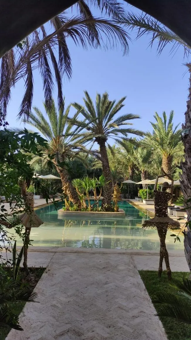 Pool view in Riad le Jasmin