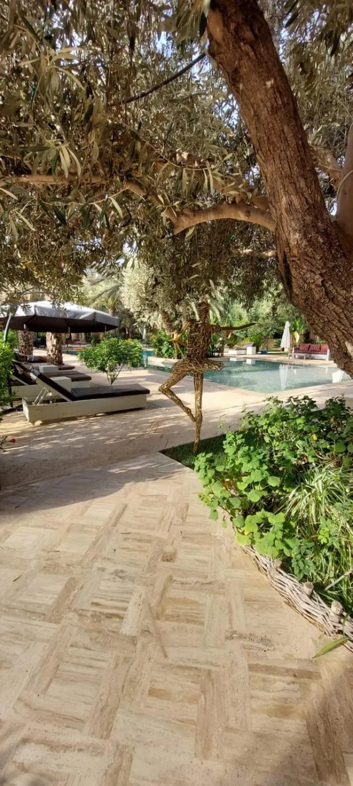 Swimming pool in Riad le Jasmin