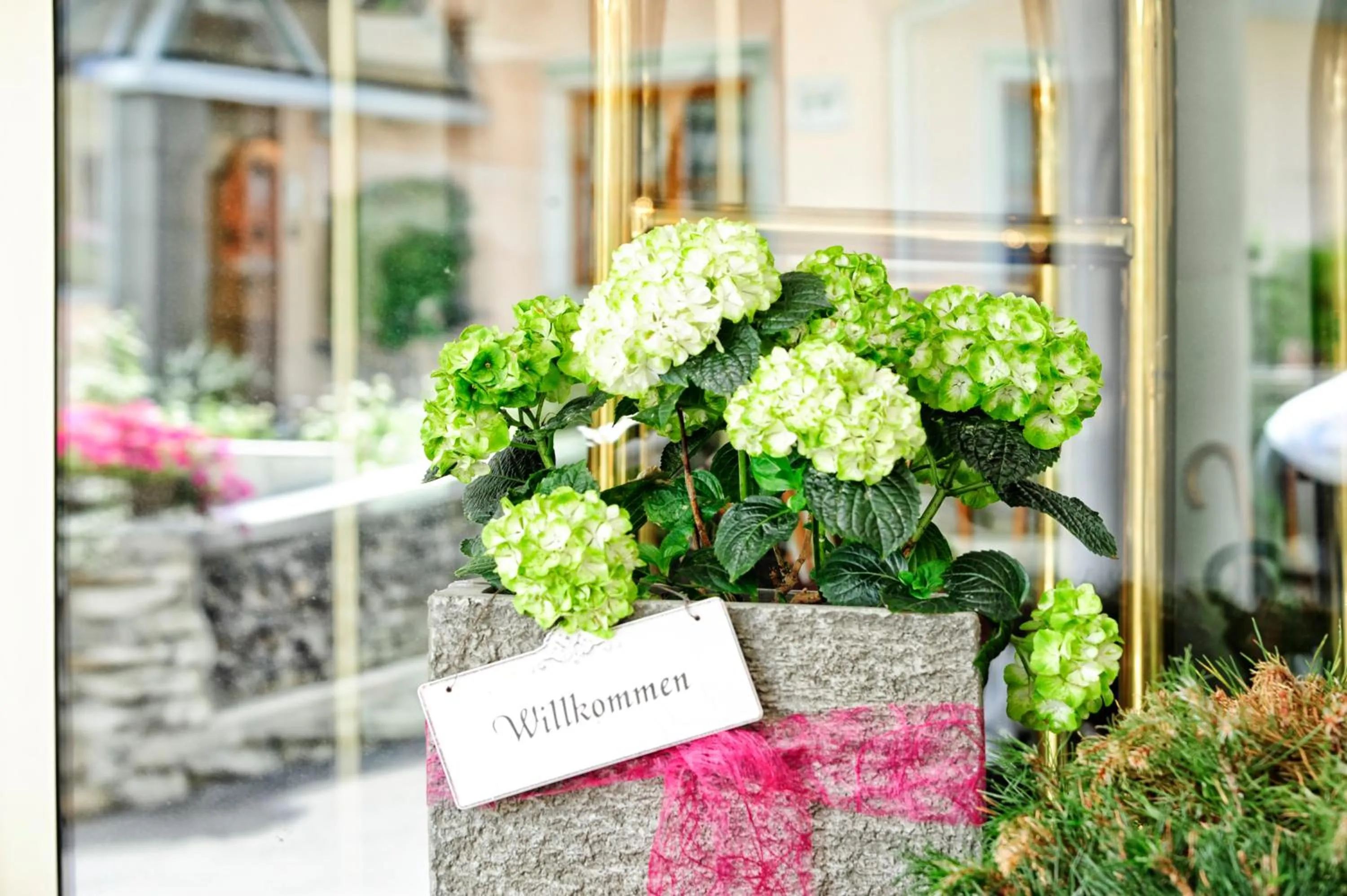 Garden in Hotel Arnika