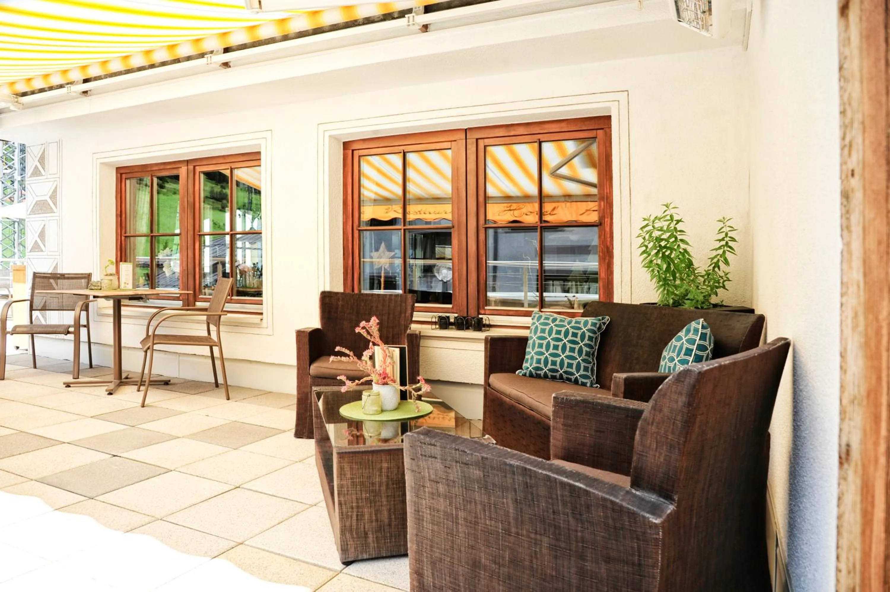 Natural landscape in Hotel Arnika