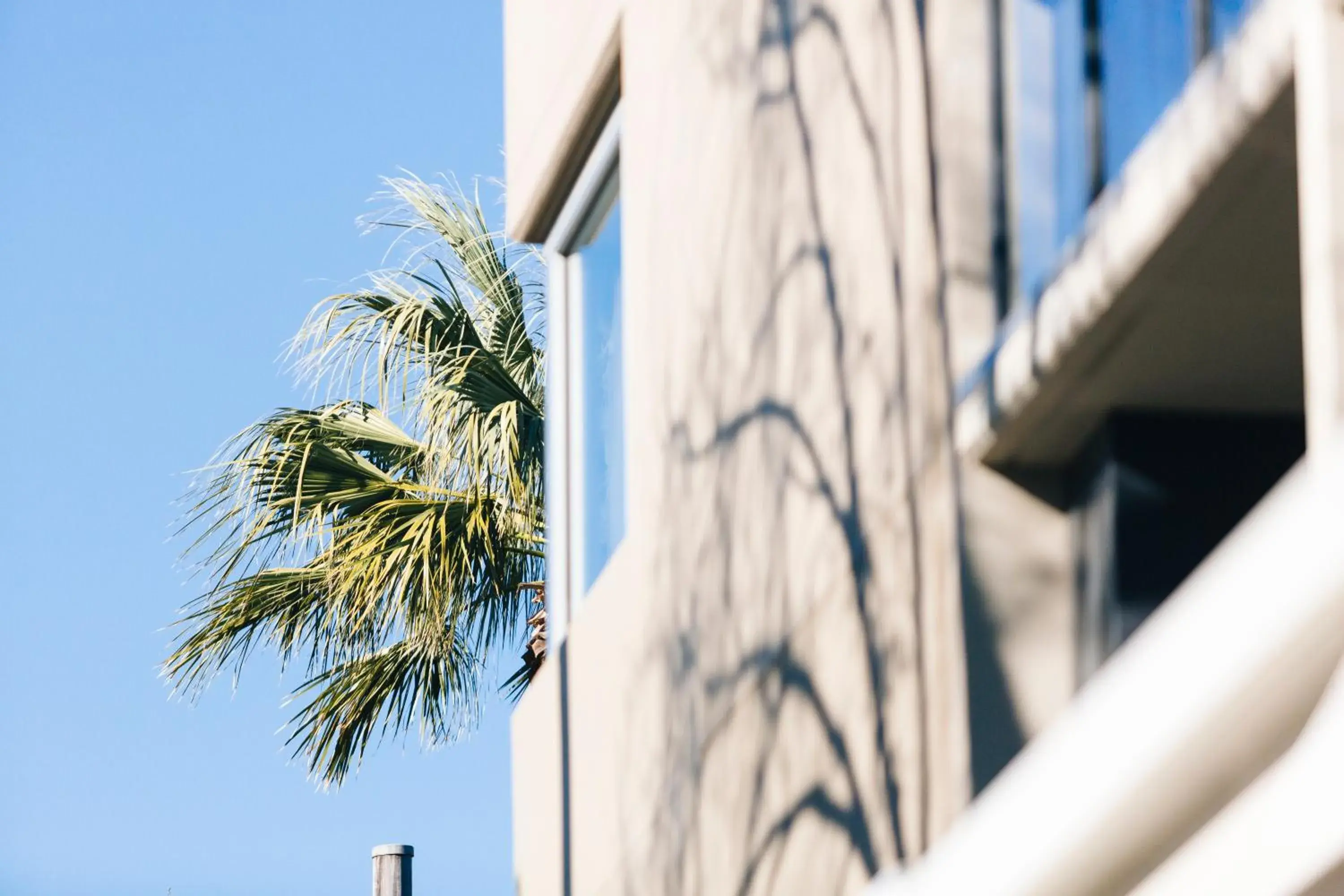 Property building in Haven Glebe Property building in Haven Glebe