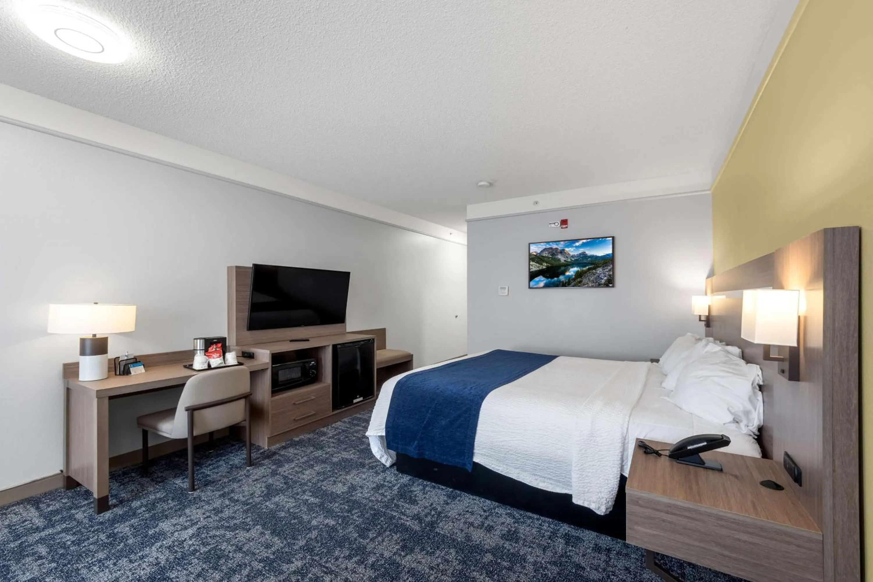 Bed in SureStay Plus Hotel by Best Western Billings