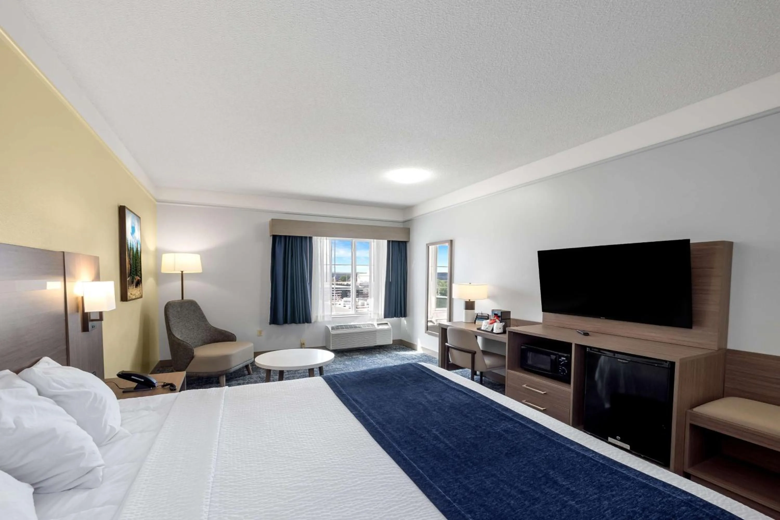 Bed in SureStay Plus Hotel by Best Western Billings