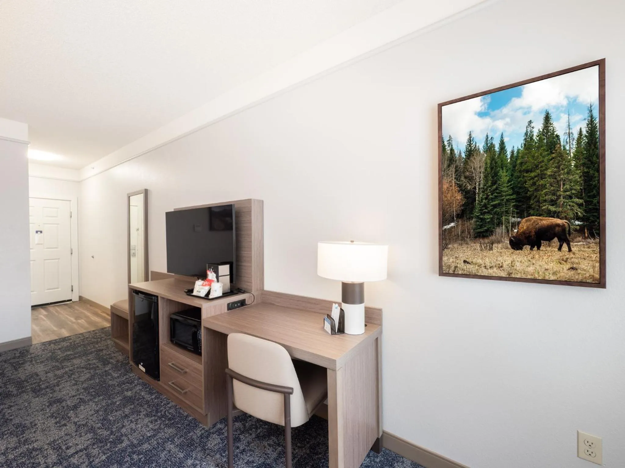 TV and multimedia in SureStay Plus Hotel by Best Western Billings