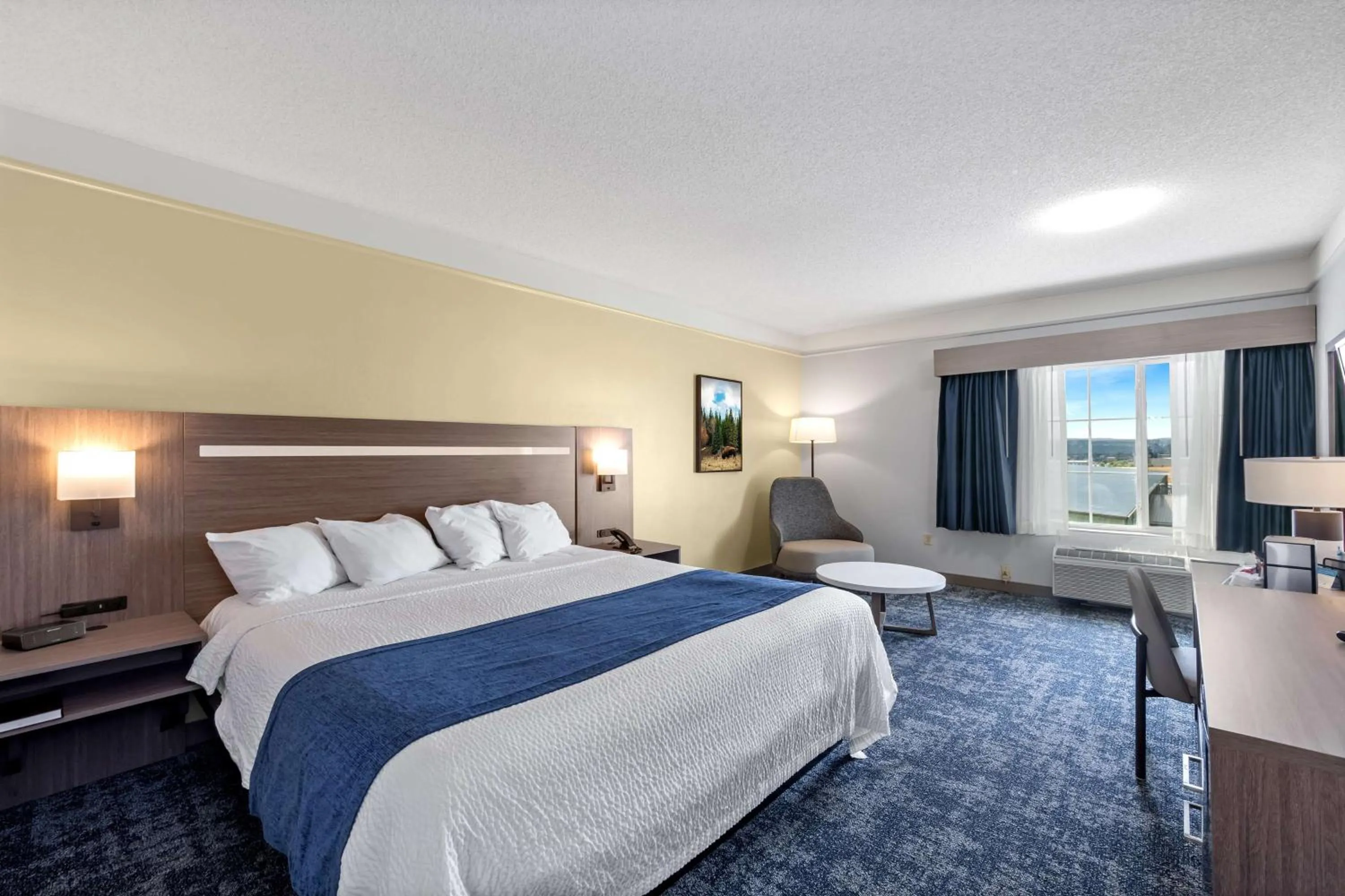 Bed in SureStay Plus Hotel by Best Western Billings