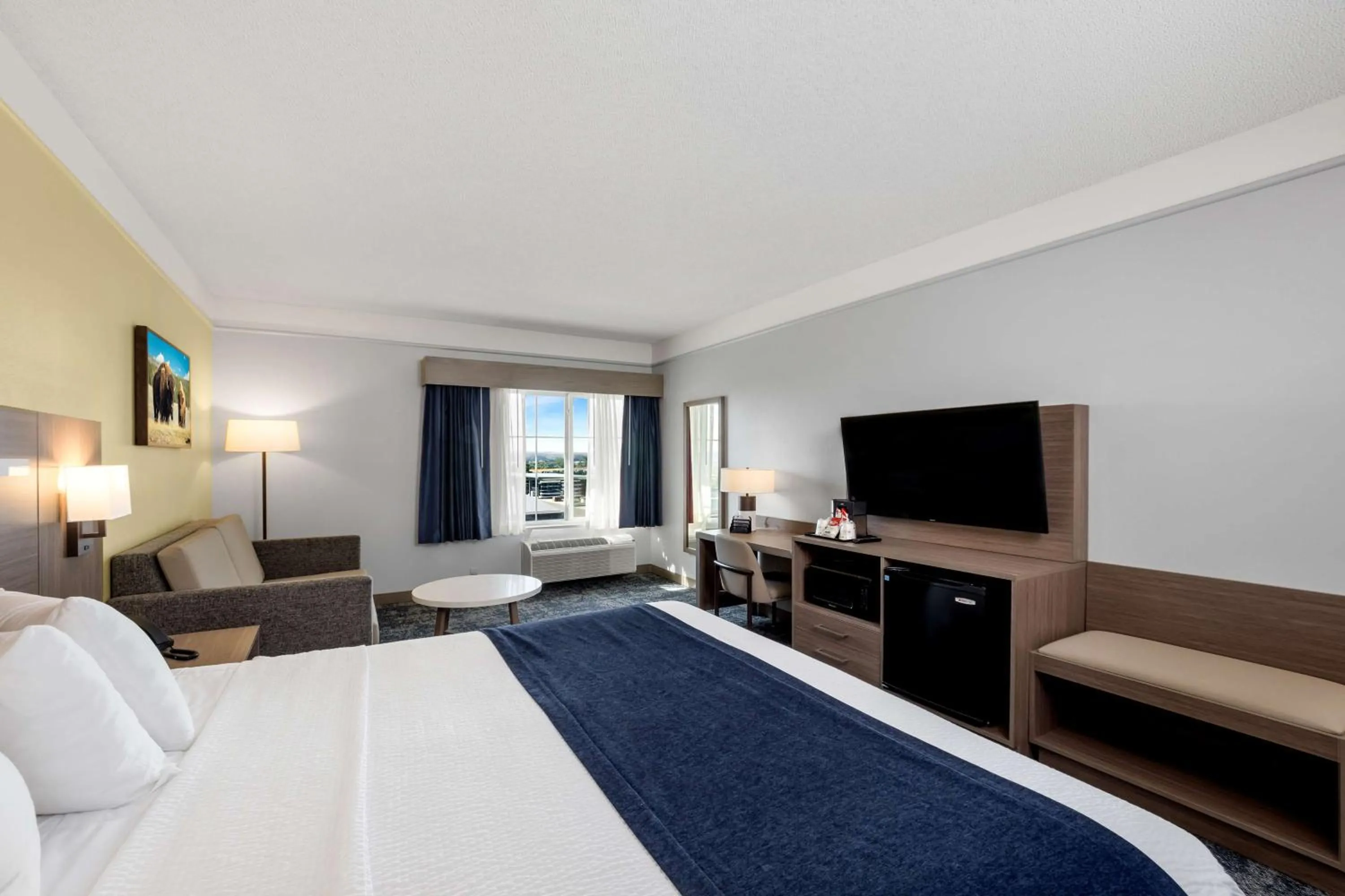 Bed in SureStay Plus Hotel by Best Western Billings