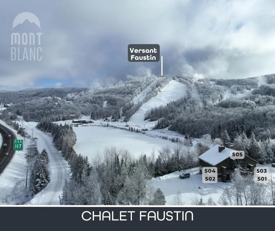 Mont Blanc Hôtel & Condos