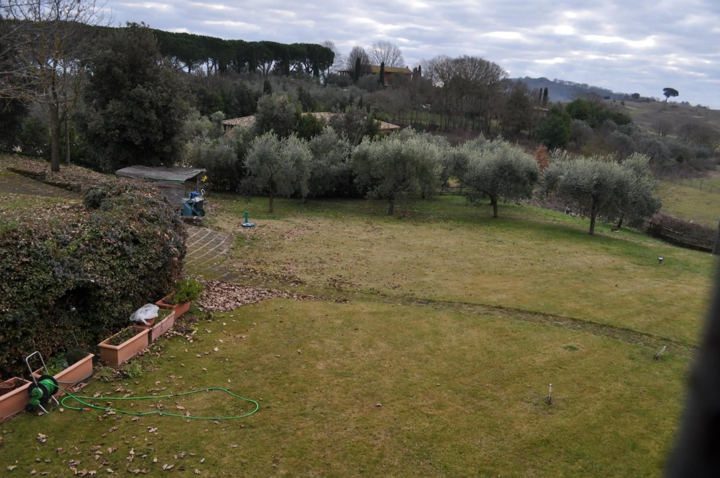 Garden view in Casale Vicino Al Golf Nazionale