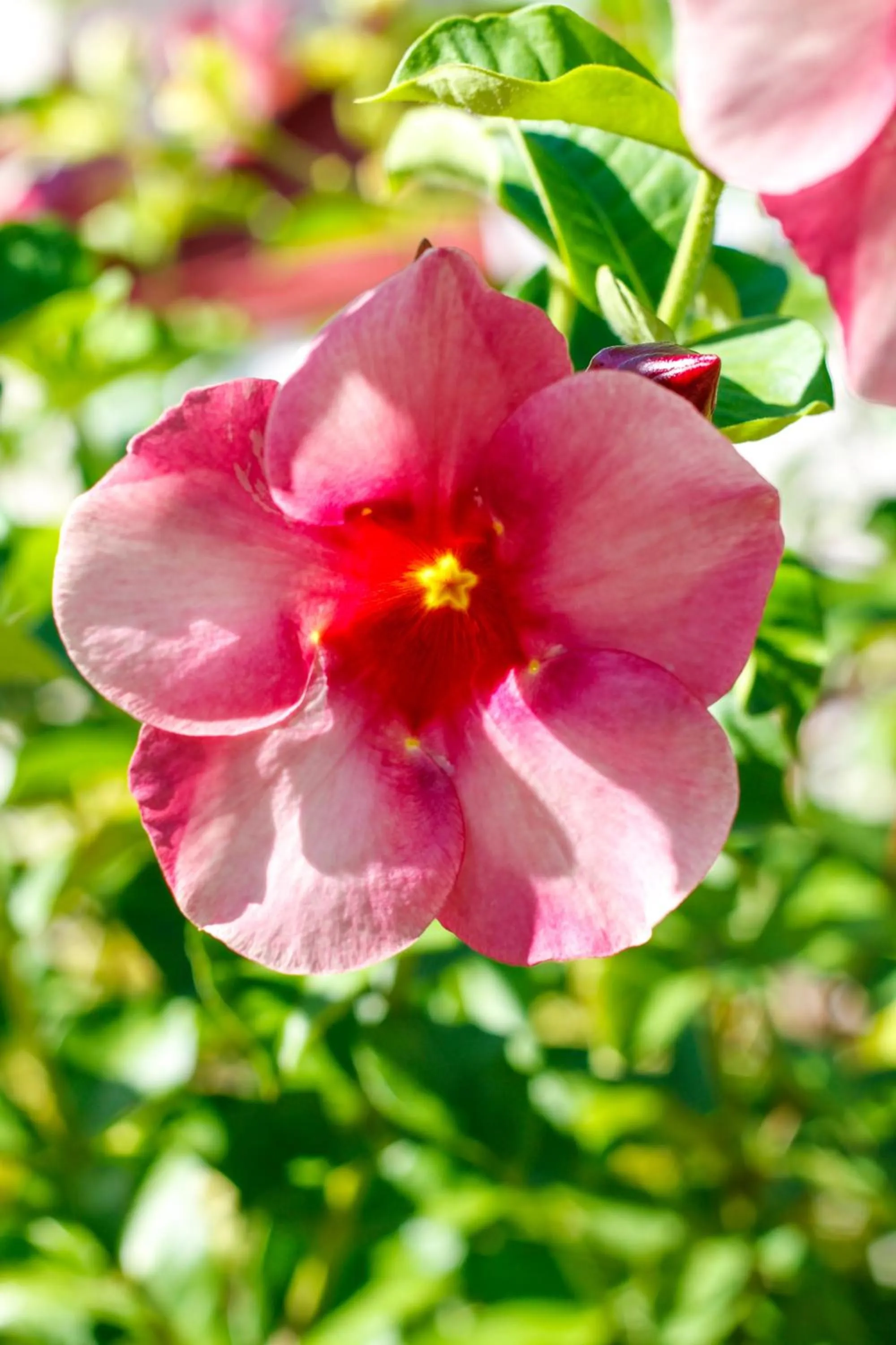 Property building in Antigua Village Beach Resort