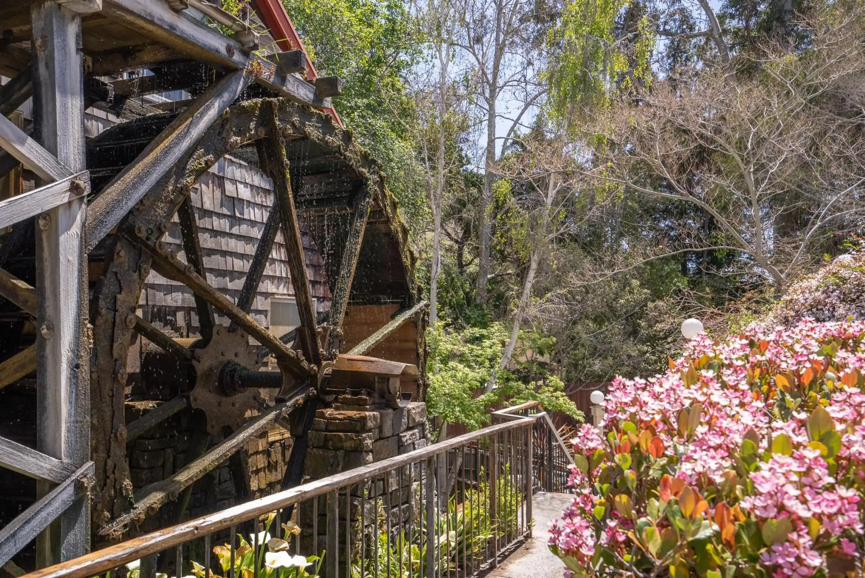 Property building in Apple Farm Inn Property building in Apple Farm Inn