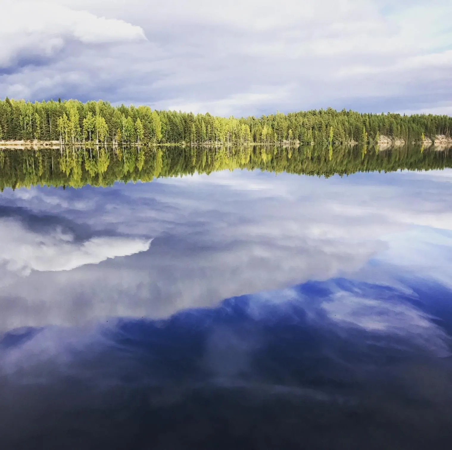 Natural landscape in Vasa Ski Lodge