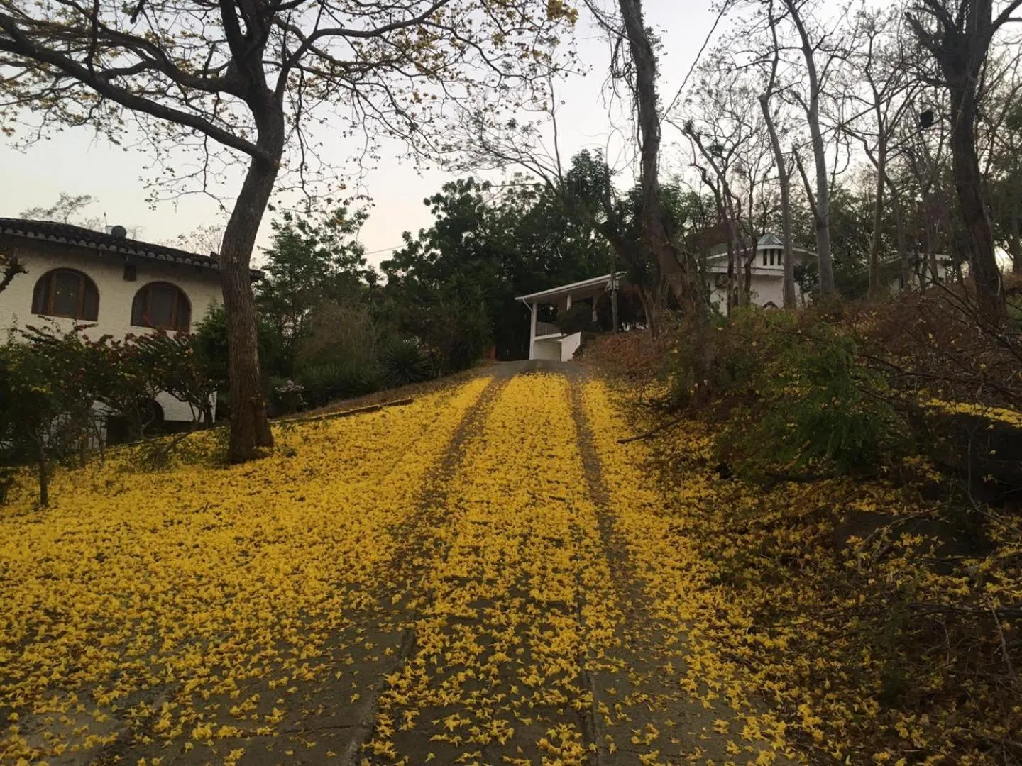 Facade/entrance in El Jardin