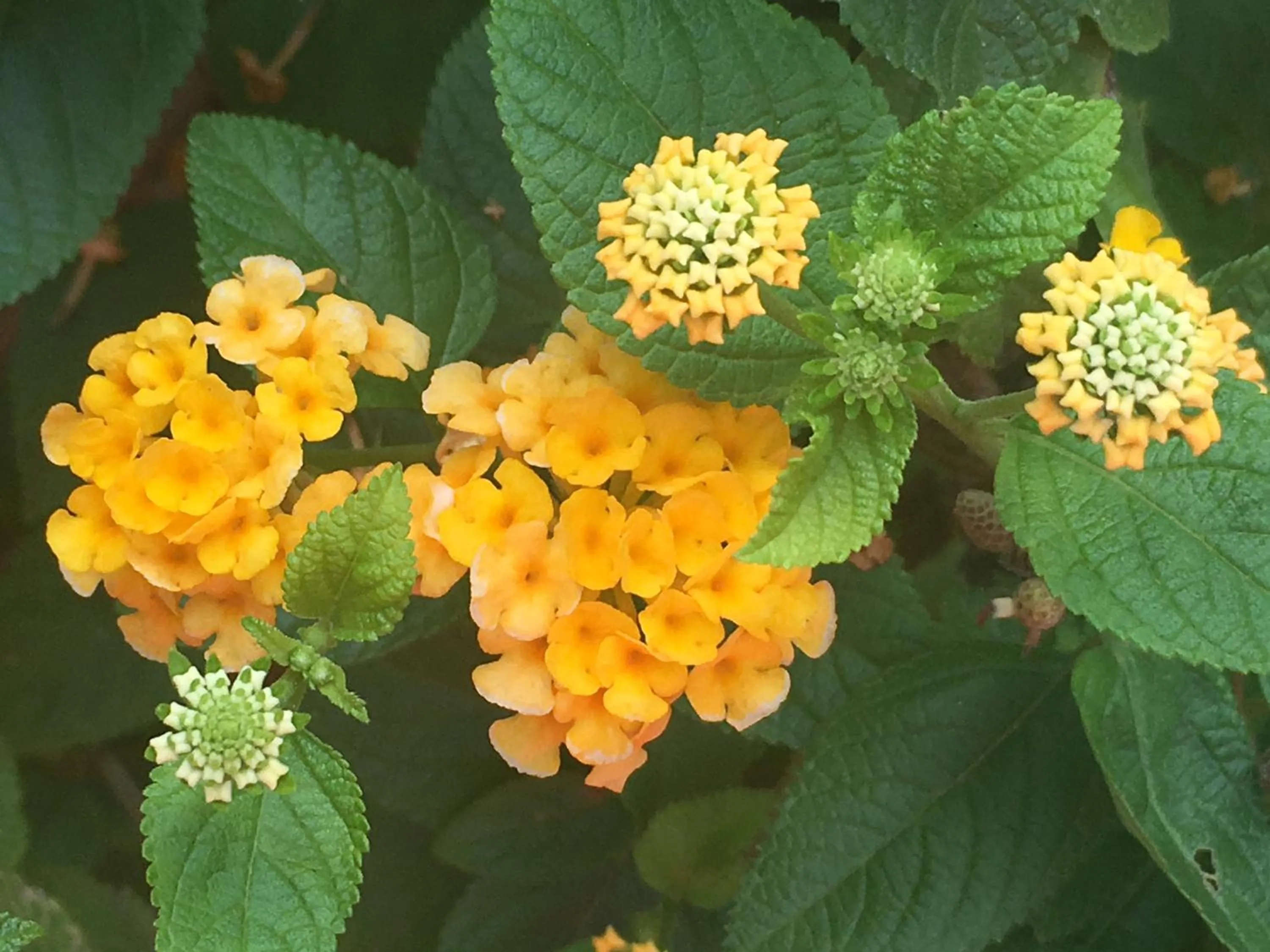 Natural landscape in El Jardin