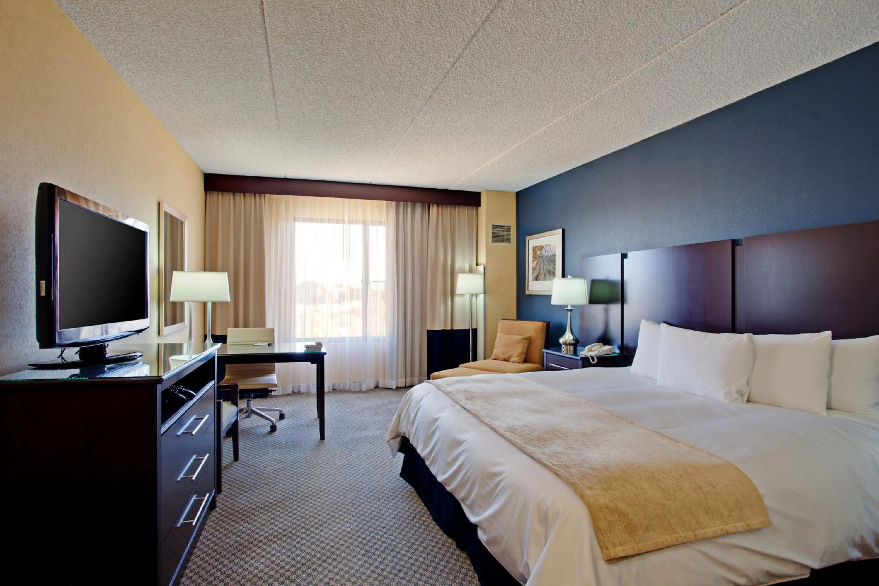 Day, Bed in Radisson Hotel Santa Maria