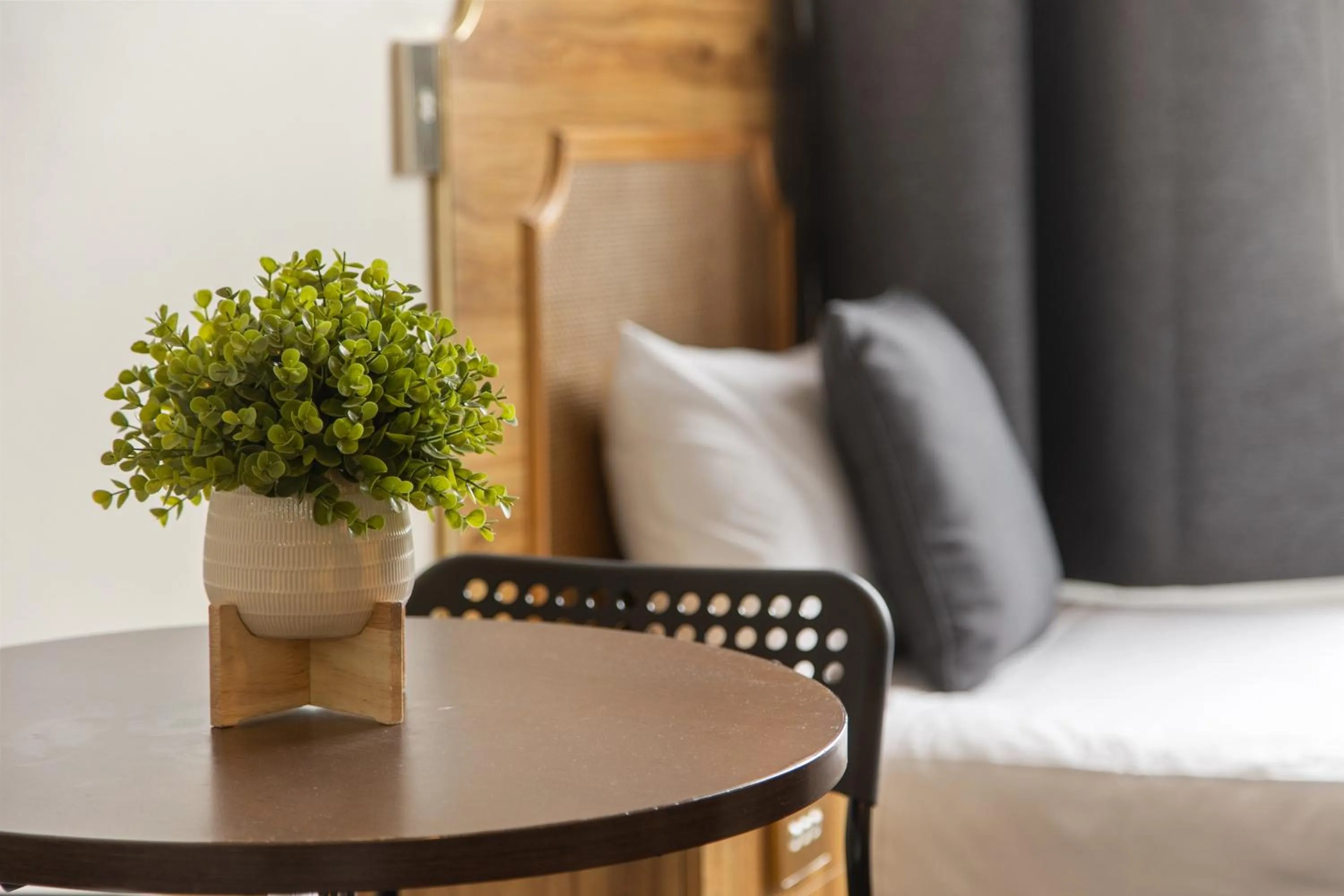 Seating area, Bed in Adelaide Paringa