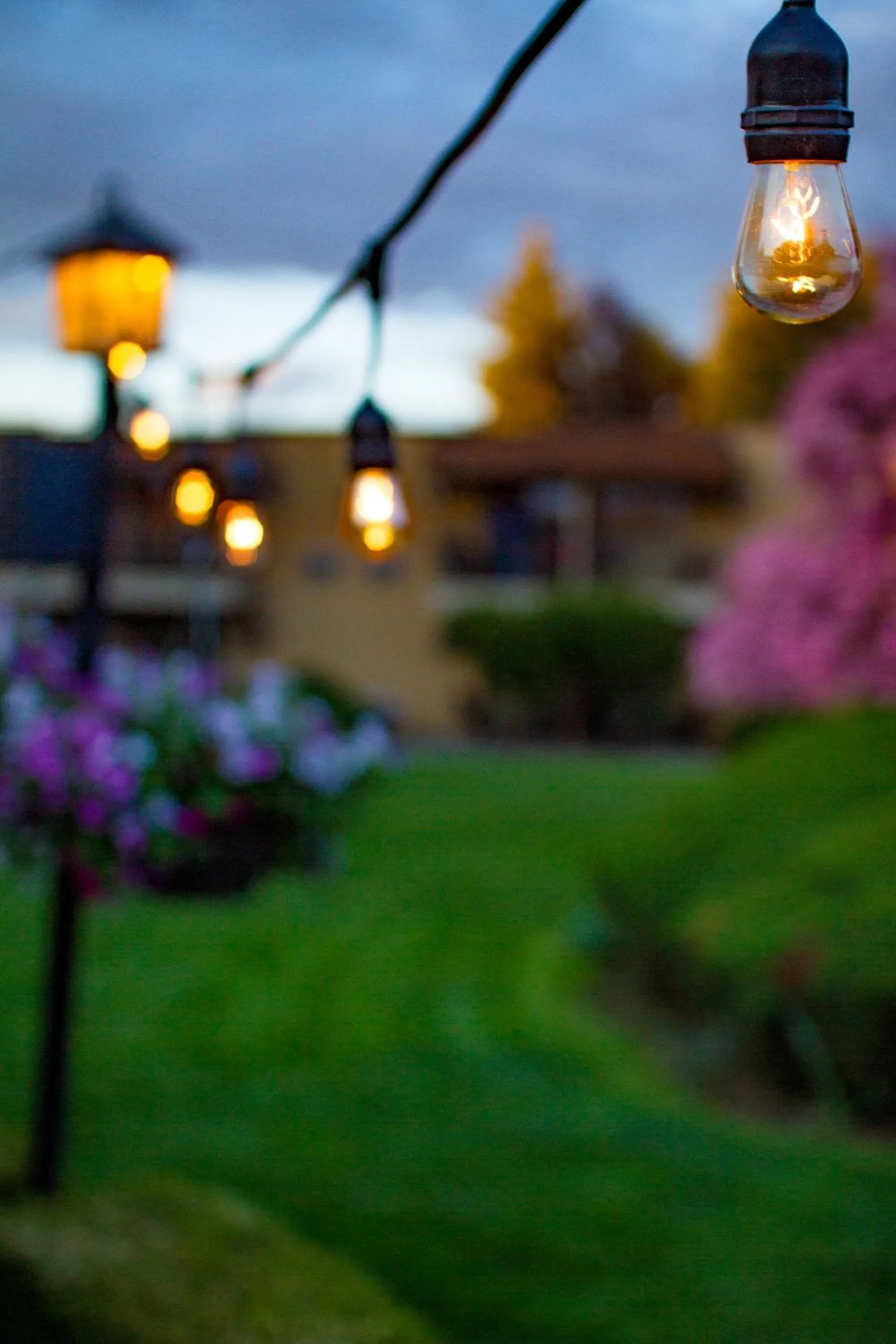 Night in Mirabeau Park Hotel