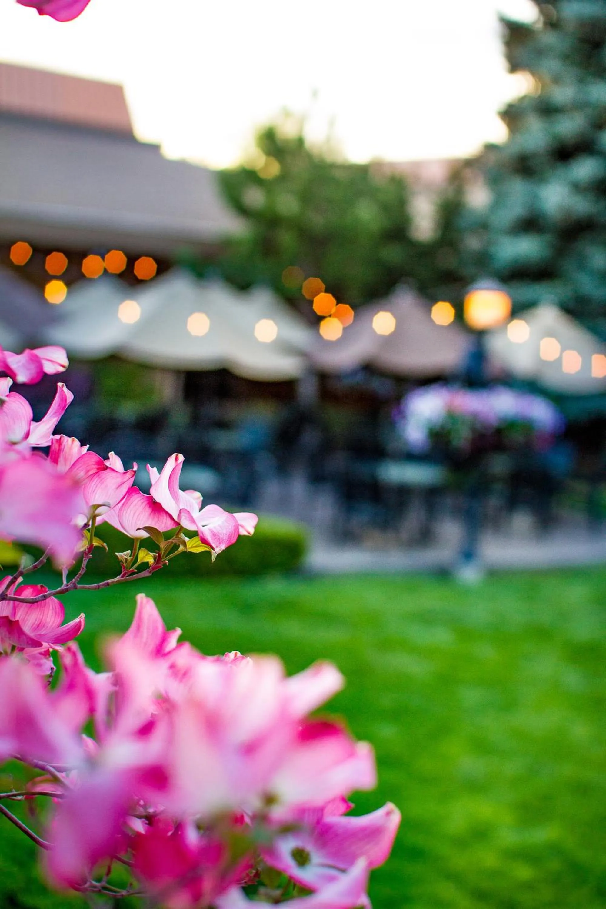 Spring in Mirabeau Park Hotel