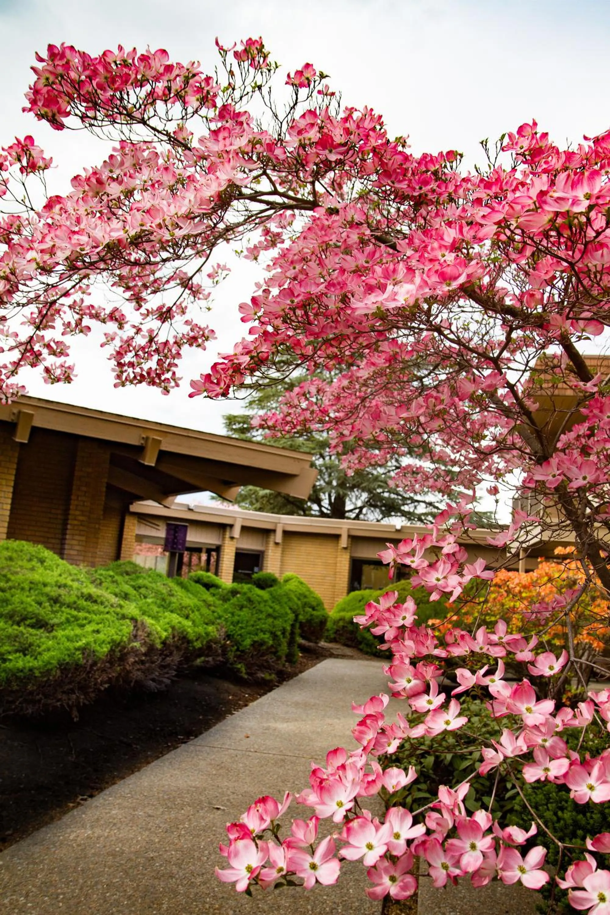 Property building in Mirabeau Park Hotel