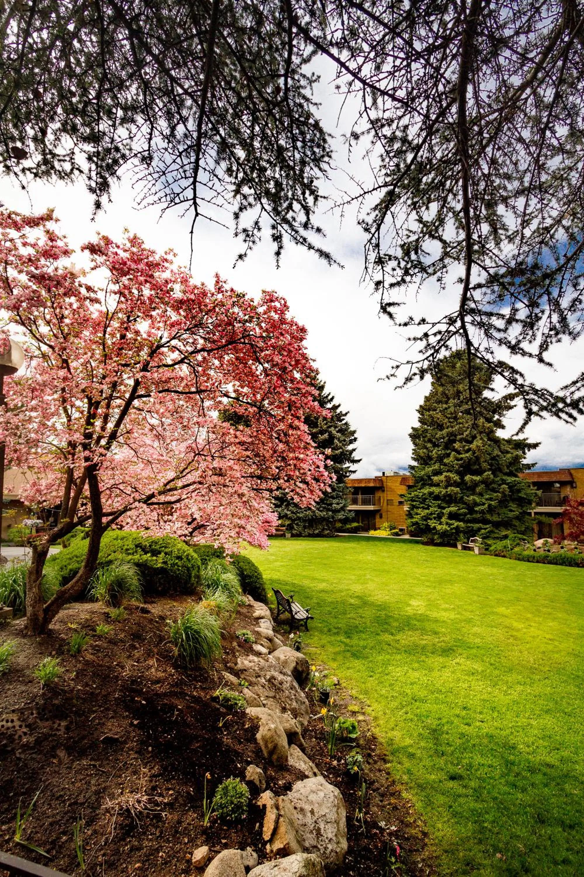 Garden in Mirabeau Park Hotel