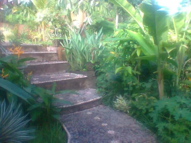 Other in Warung Ary & Home Stay