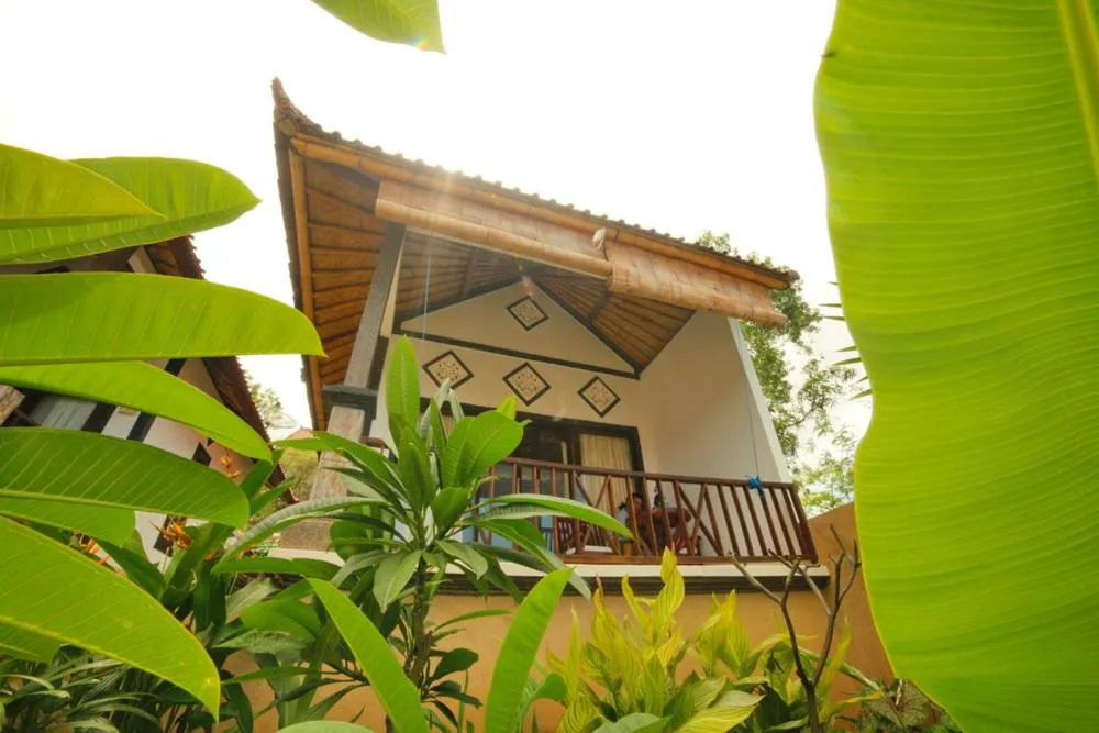 Area and facilities in Warung Ary & Home Stay