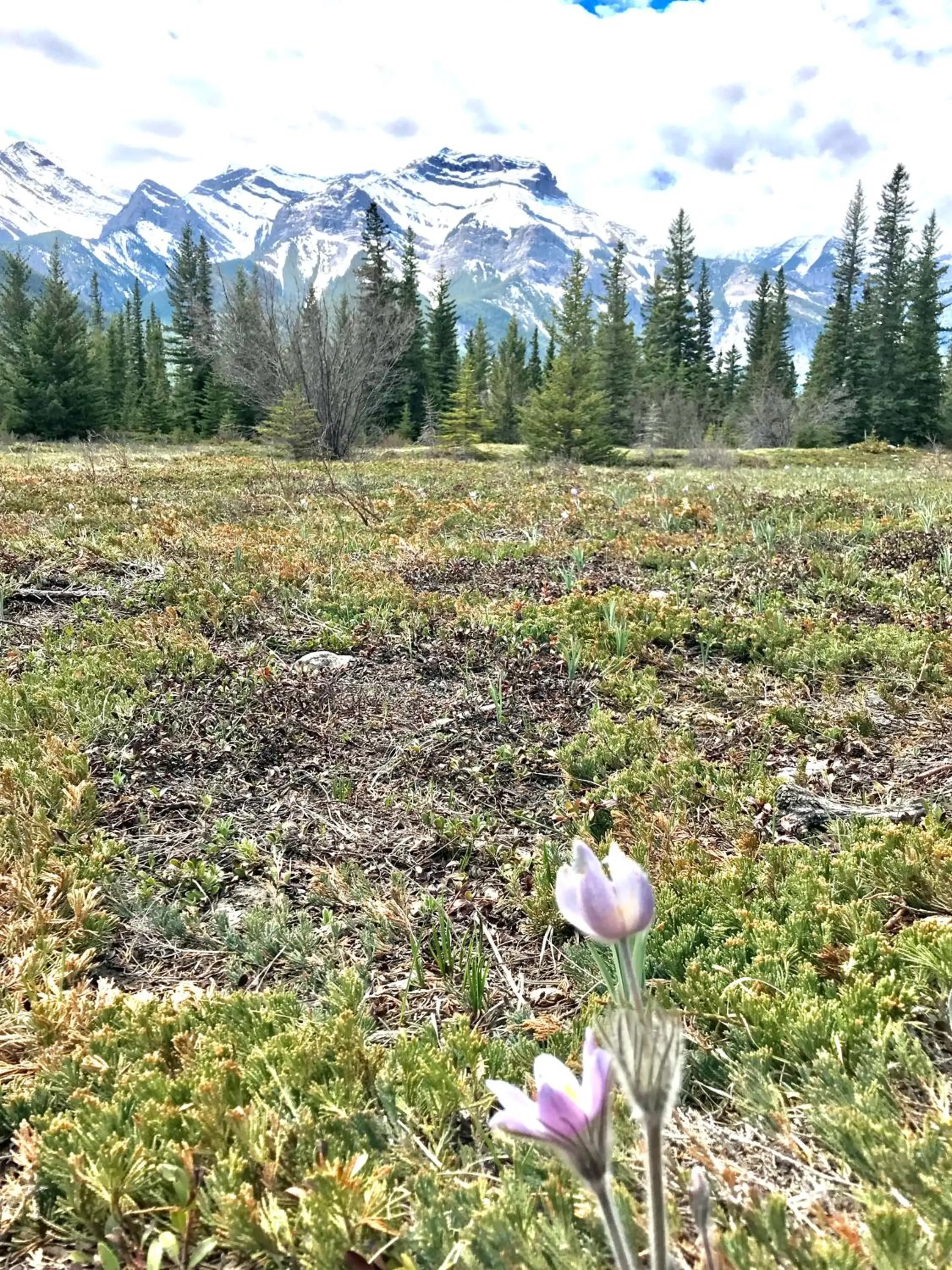 Natural landscape in Inviting Rocky Mountain HOT TUB in Top Rated Condo managed by Little Sister Getaways