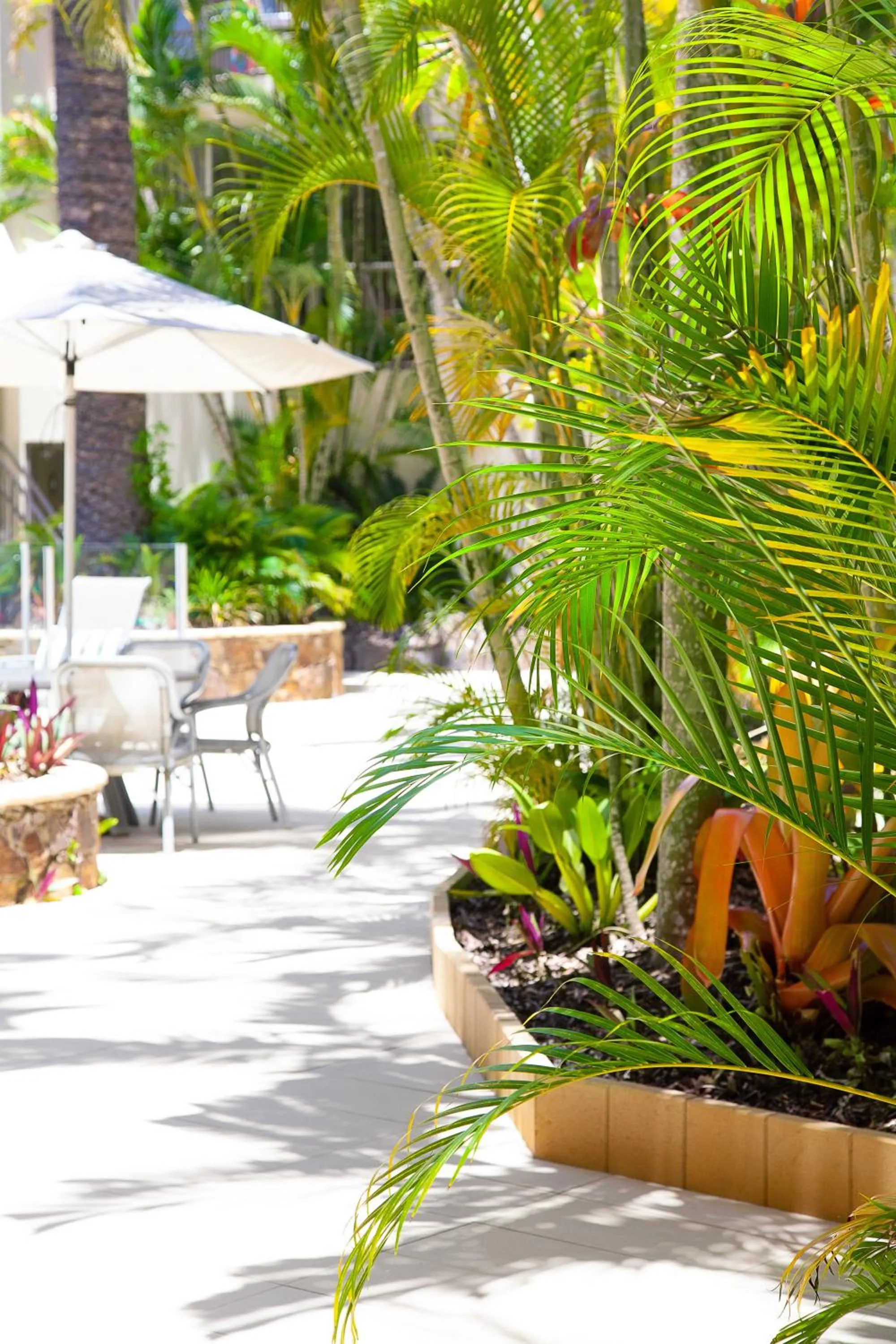 Swimming pool in Noosa Tropicana