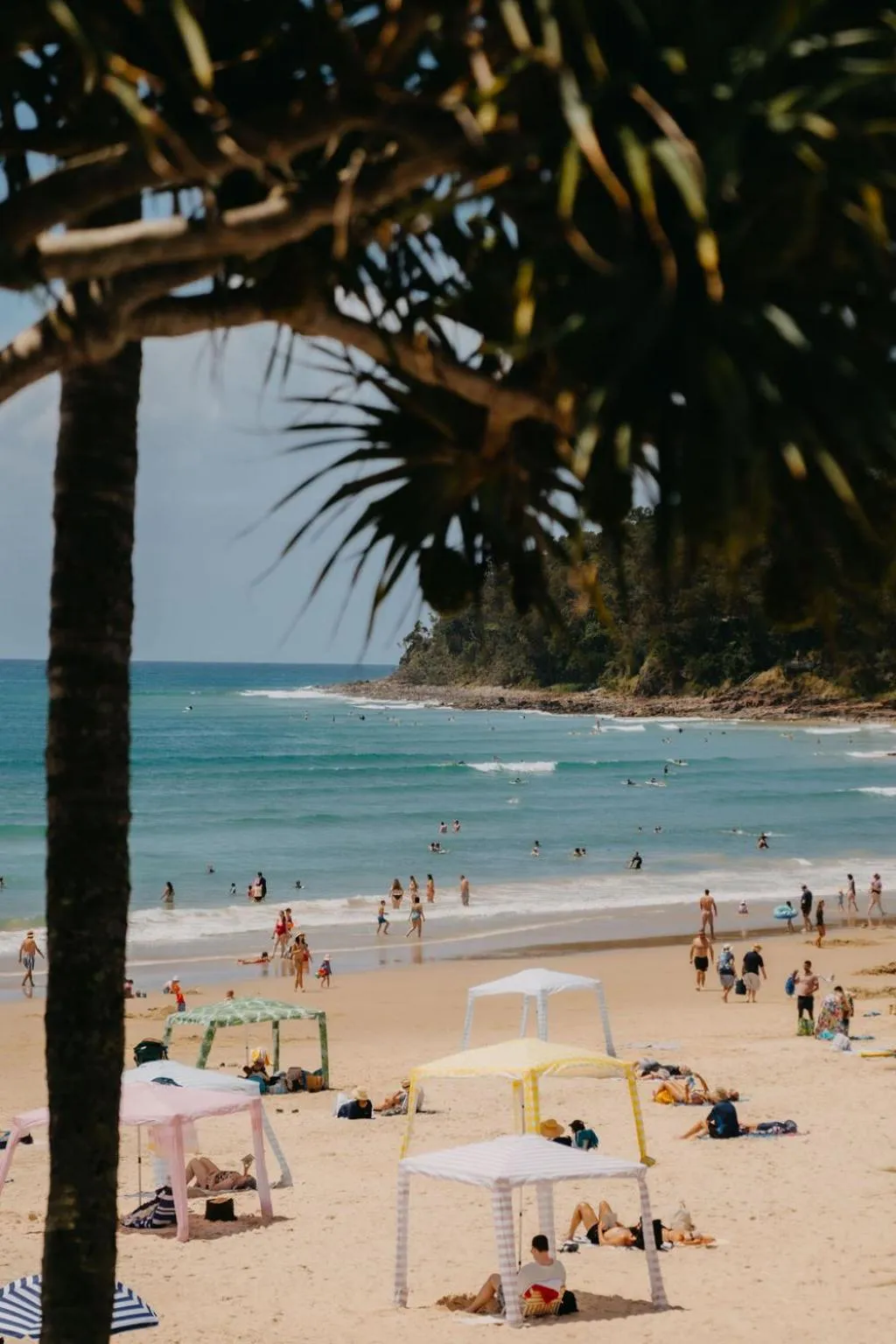 Day in On The Beach Noosa Resort