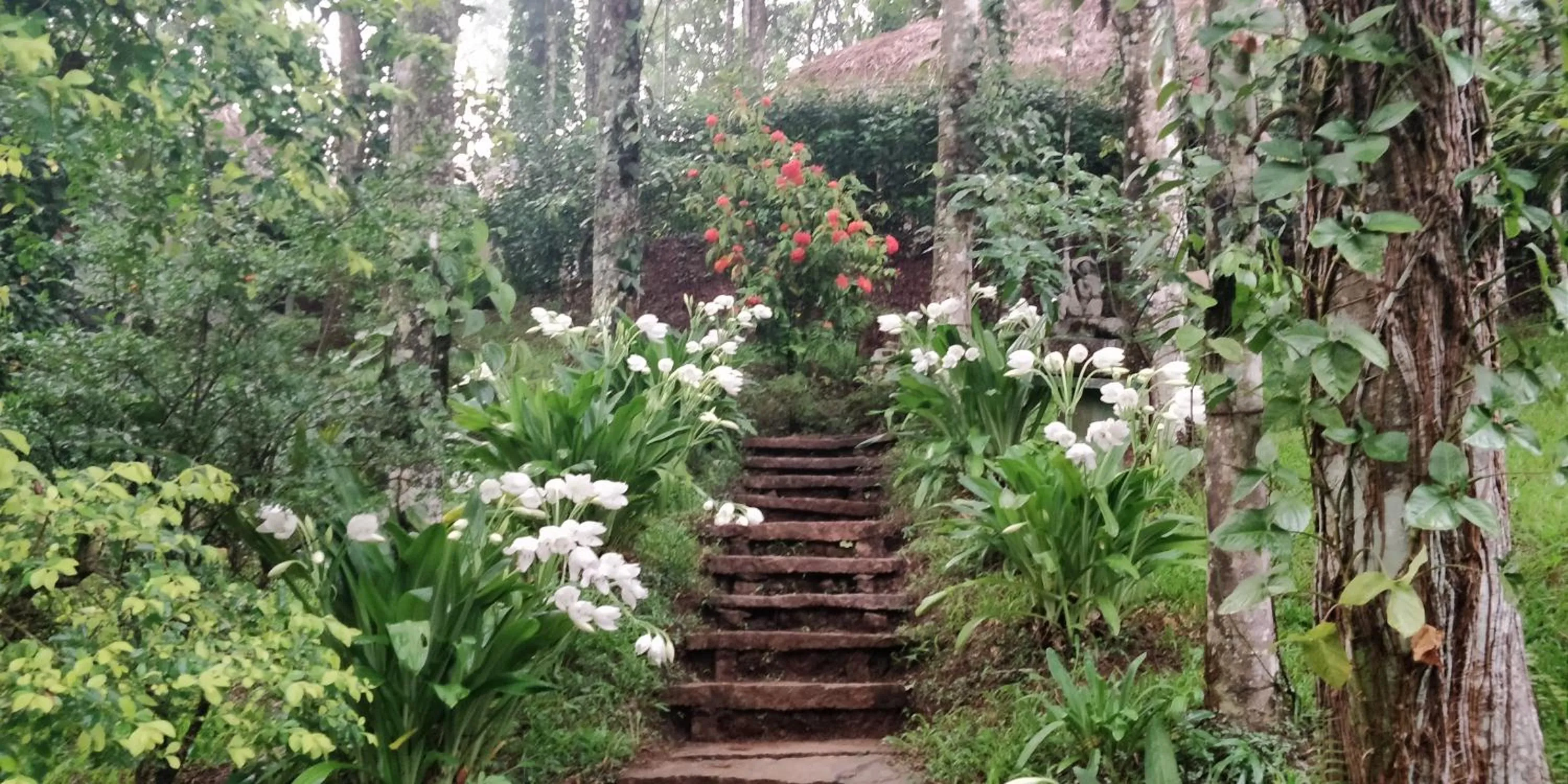 Natural landscape in Amritara Shalimar Spice Garden Resort & Spa