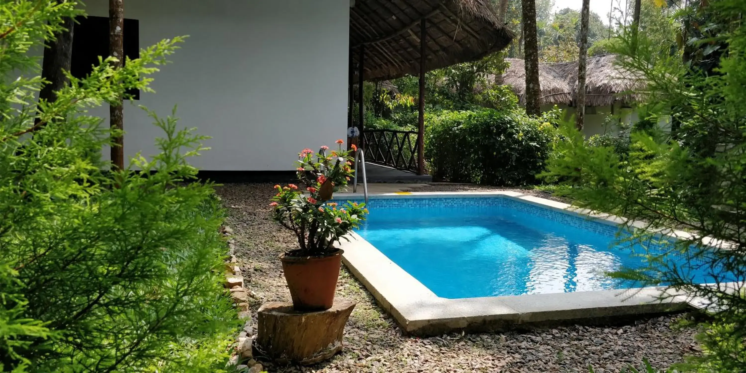 Pool view in Amritara Shalimar Spice Garden Resort & Spa Pool view in Amritara Shalimar Spice Garden Resort & Spa