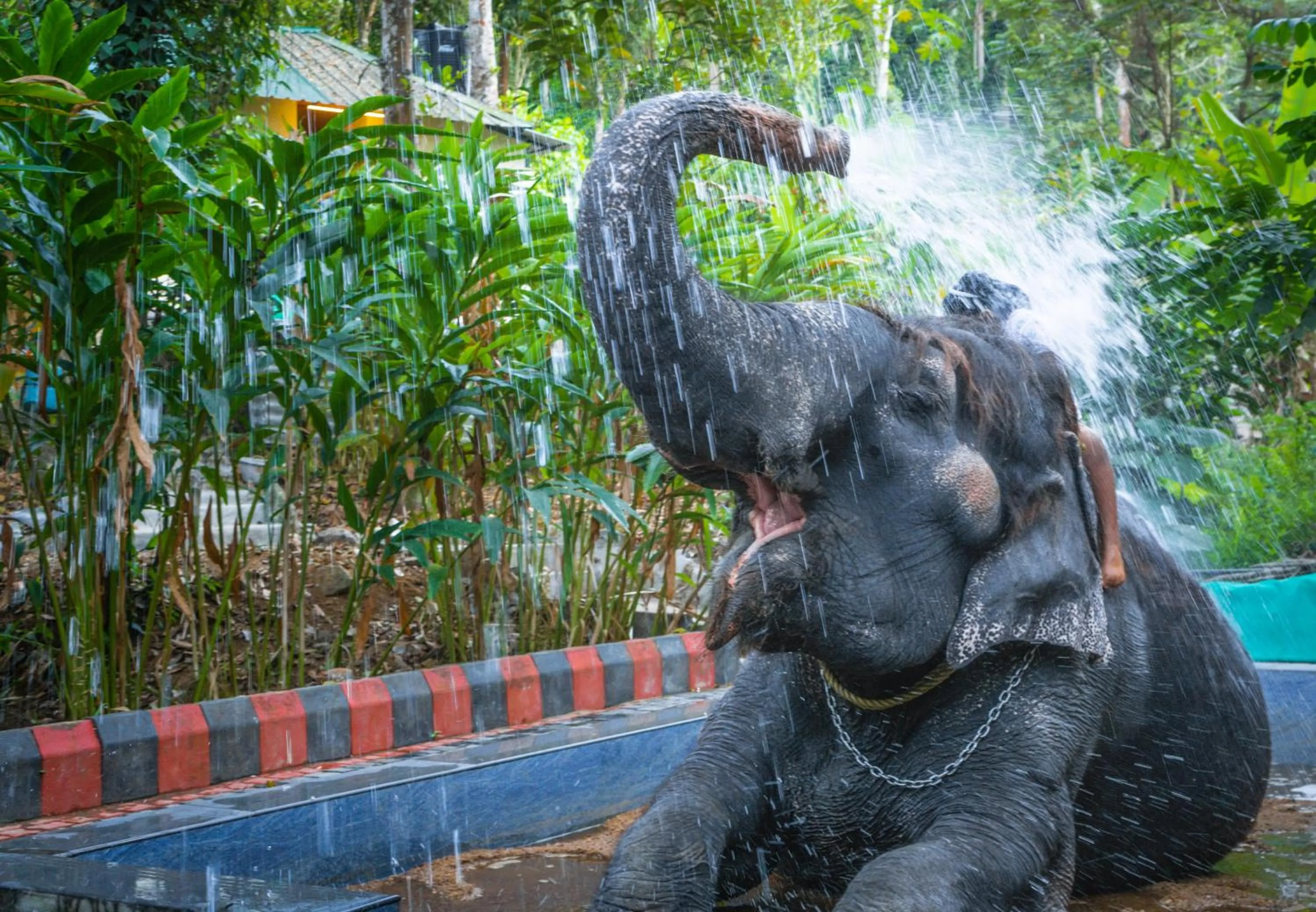 Activities in Amritara Shalimar Spice Garden Resort & Spa