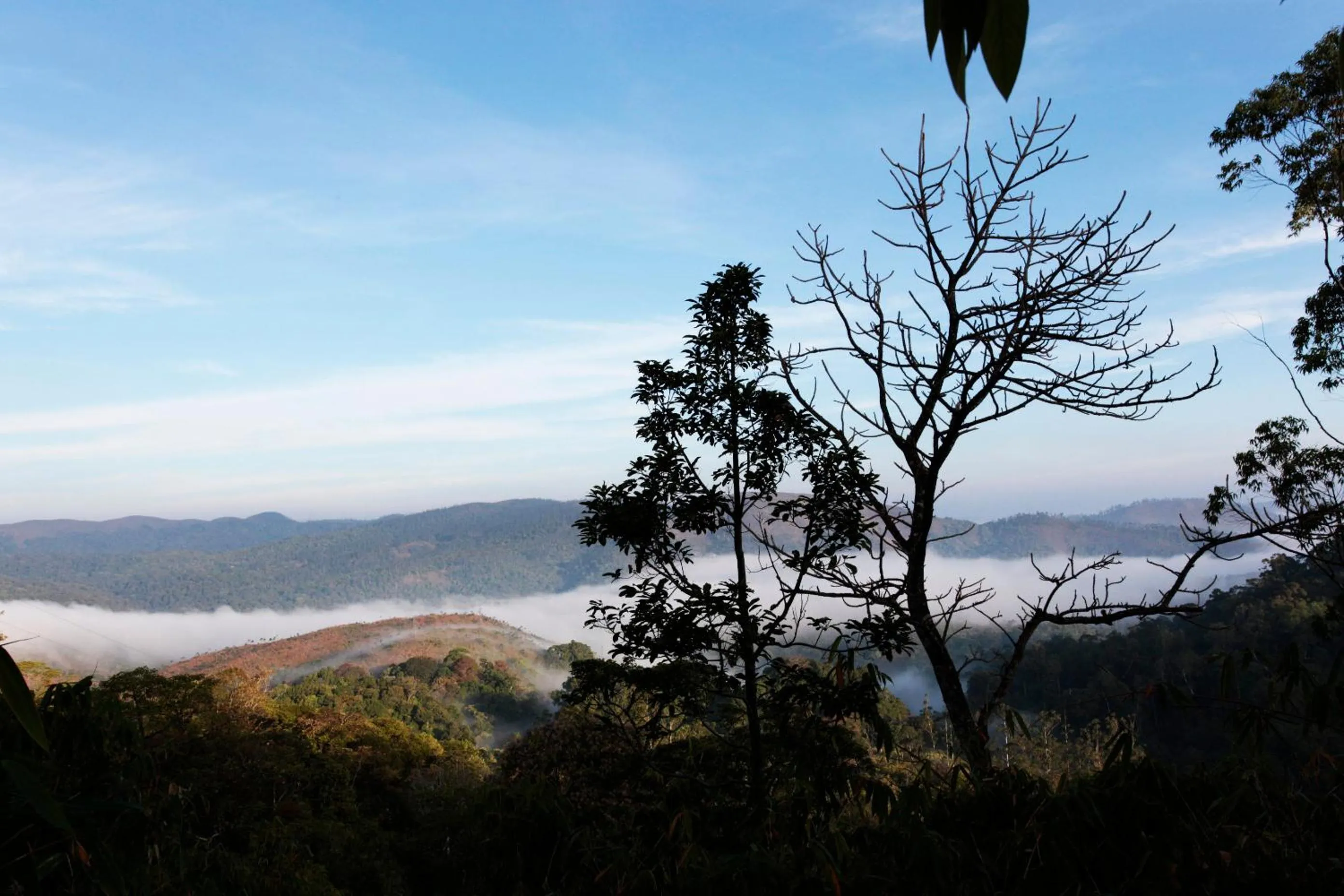 Natural landscape in Amritara Shalimar Spice Garden Resort & Spa