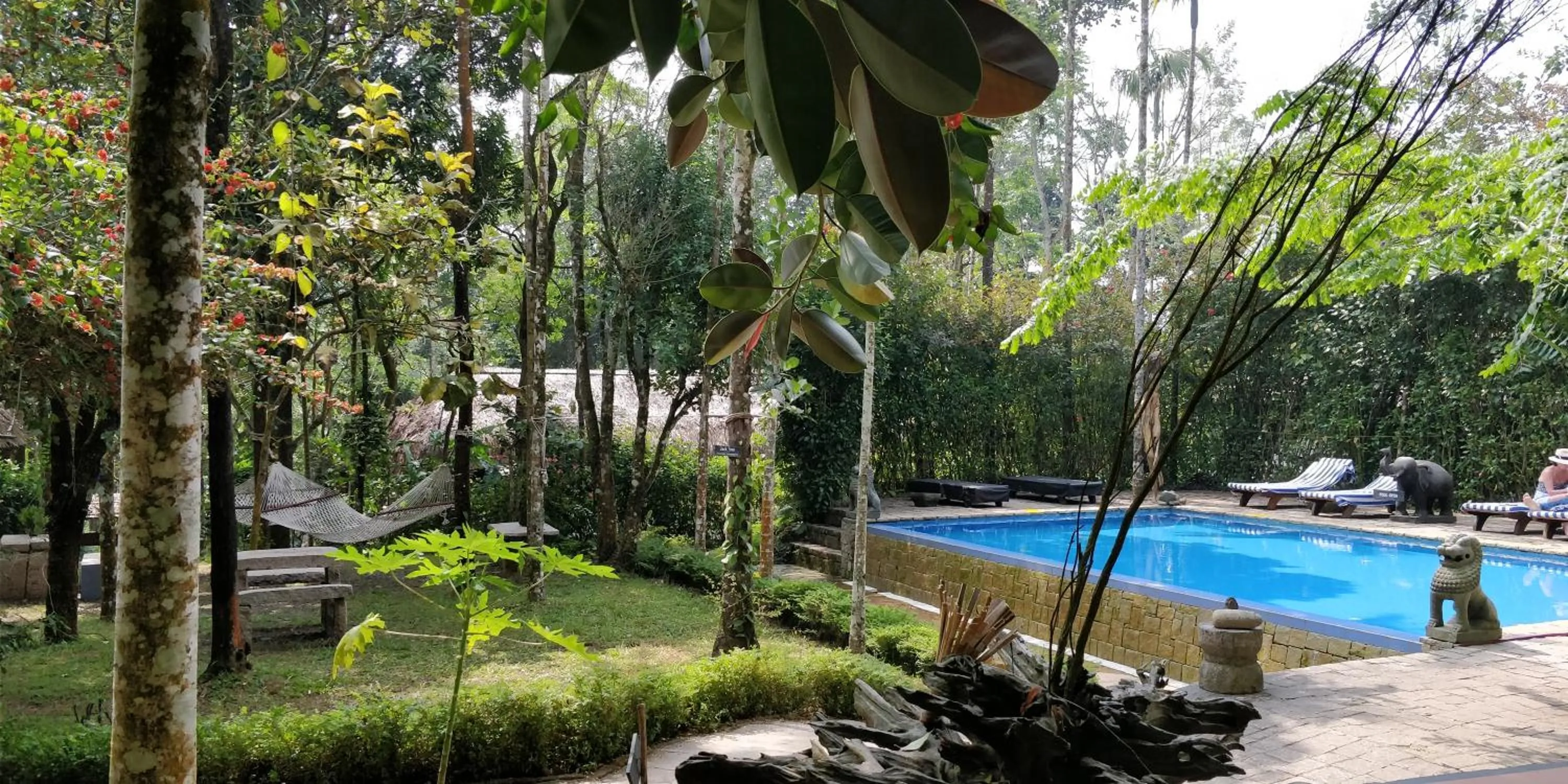 Swimming pool in Amritara Shalimar Spice Garden Resort & Spa