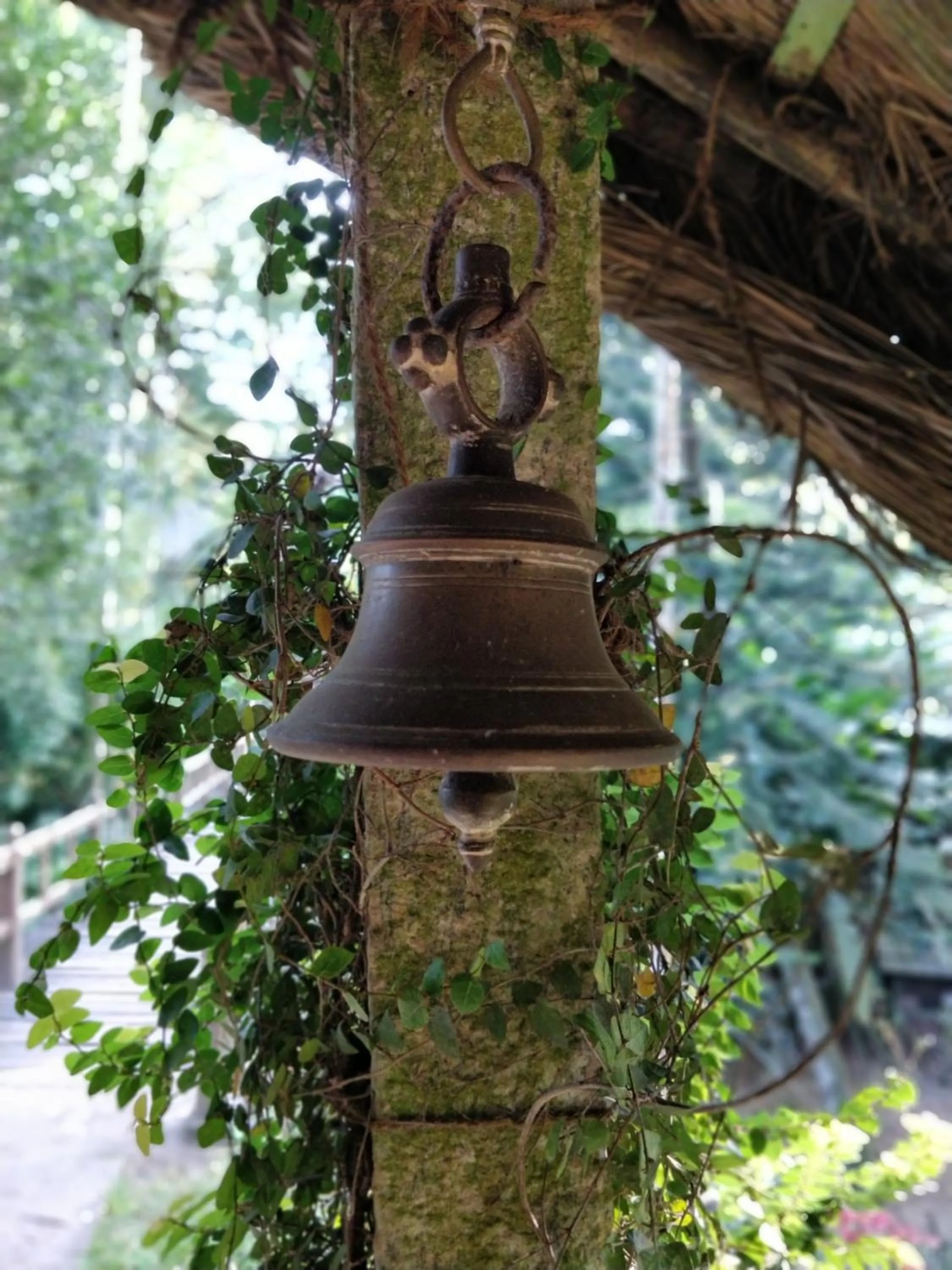 Property building in Amritara Shalimar Spice Garden Resort & Spa