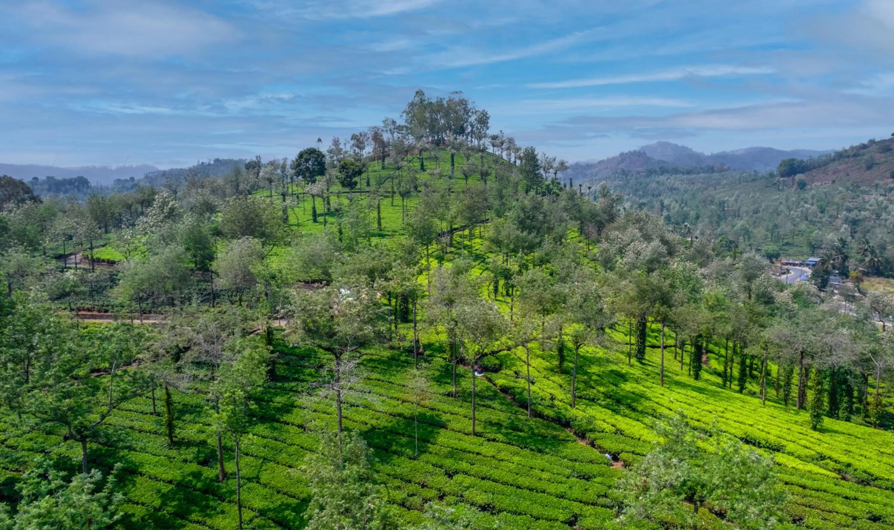 Natural landscape in Amritara Shalimar Spice Garden Resort & Spa