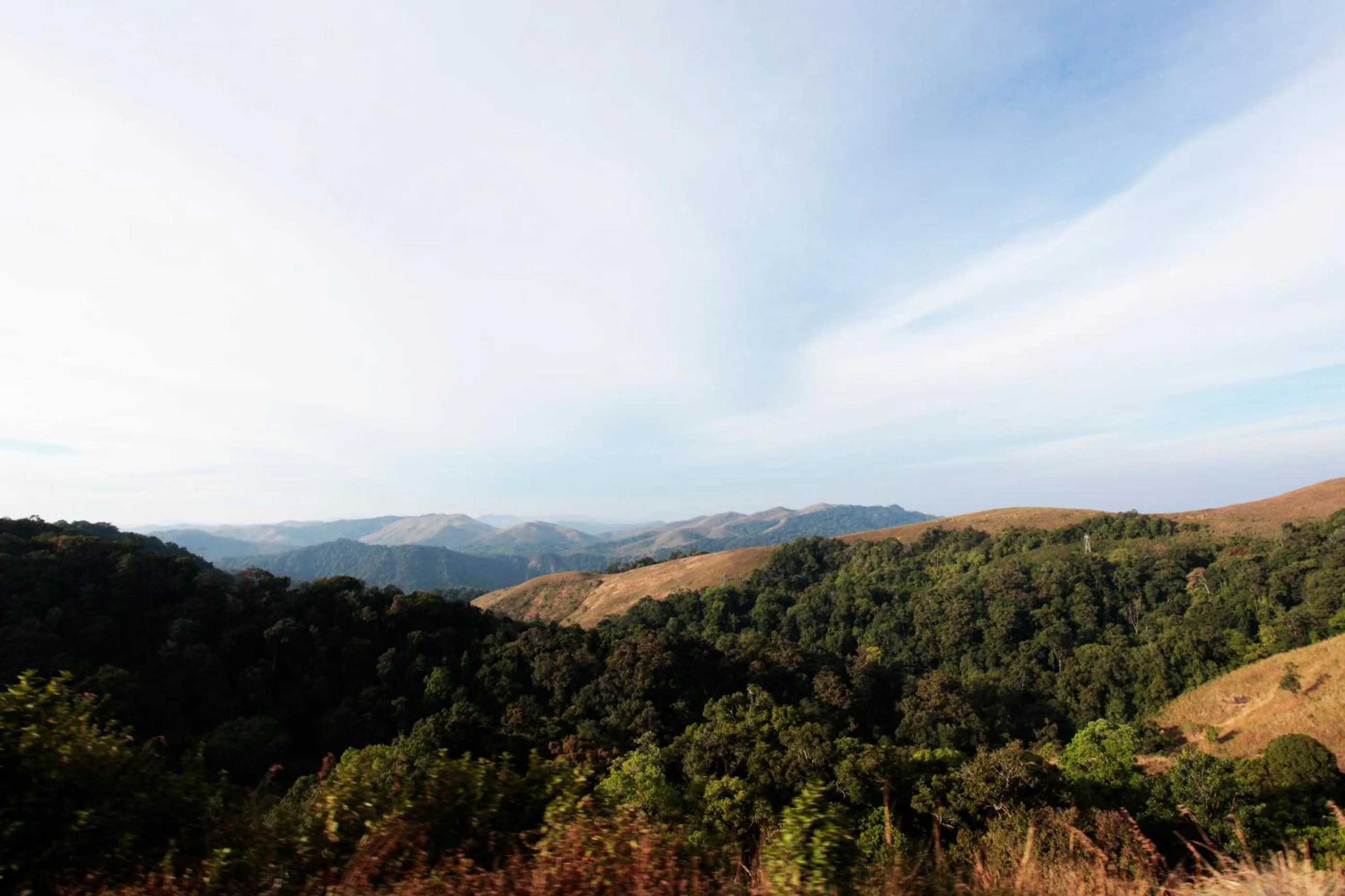 Natural landscape in Amritara Shalimar Spice Garden Resort & Spa