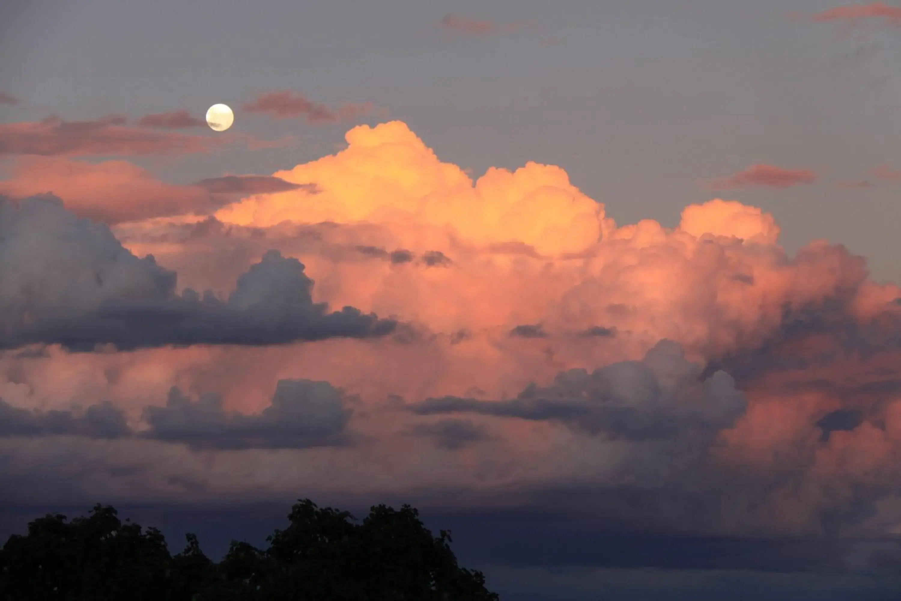 View (from property/room) in Bathurst Heights Bed & Breakfast View (from property/room) in Bathurst Heights Bed & Breakfast