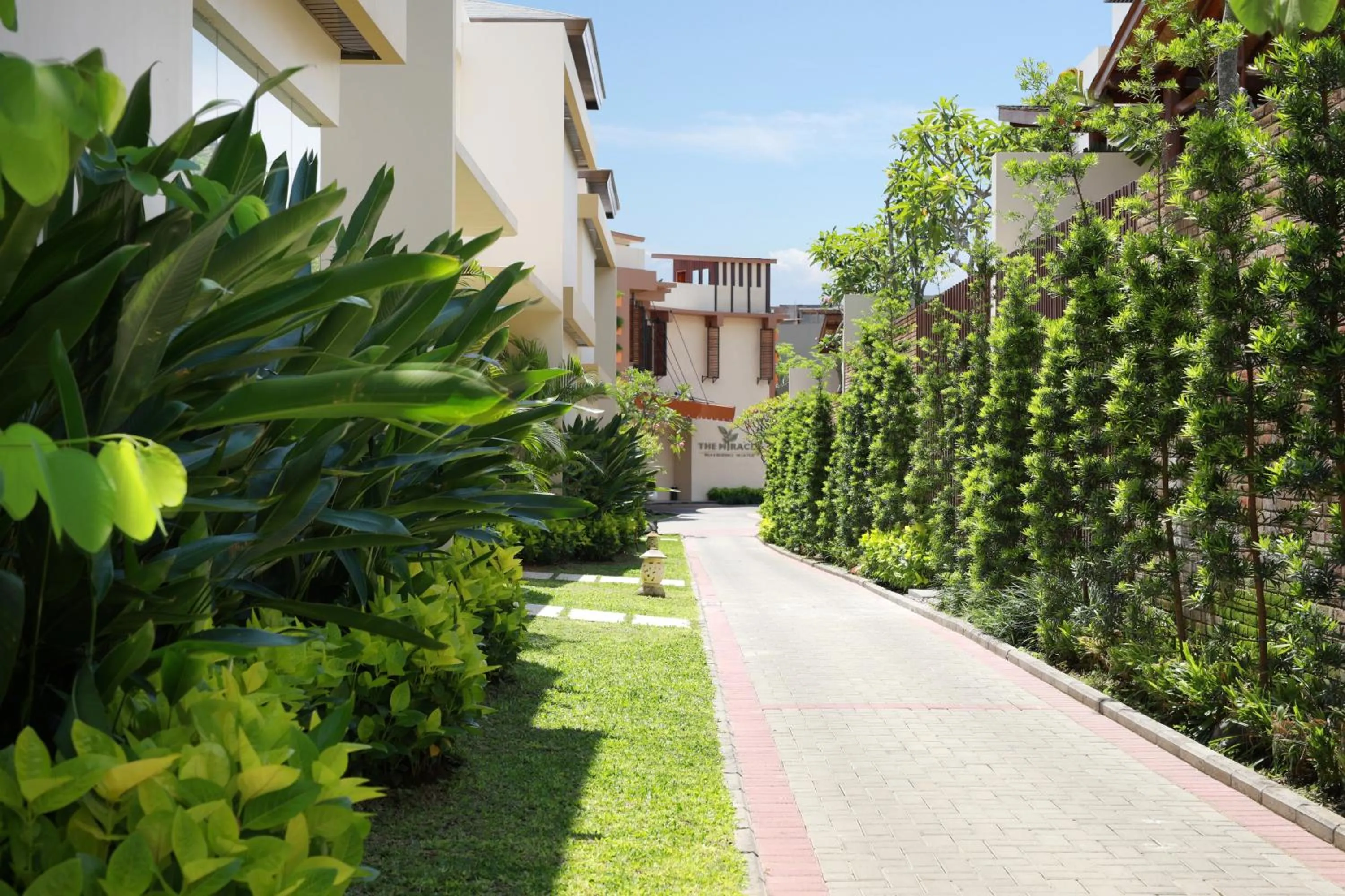 Garden in The Miracle Villa Nusa Dua