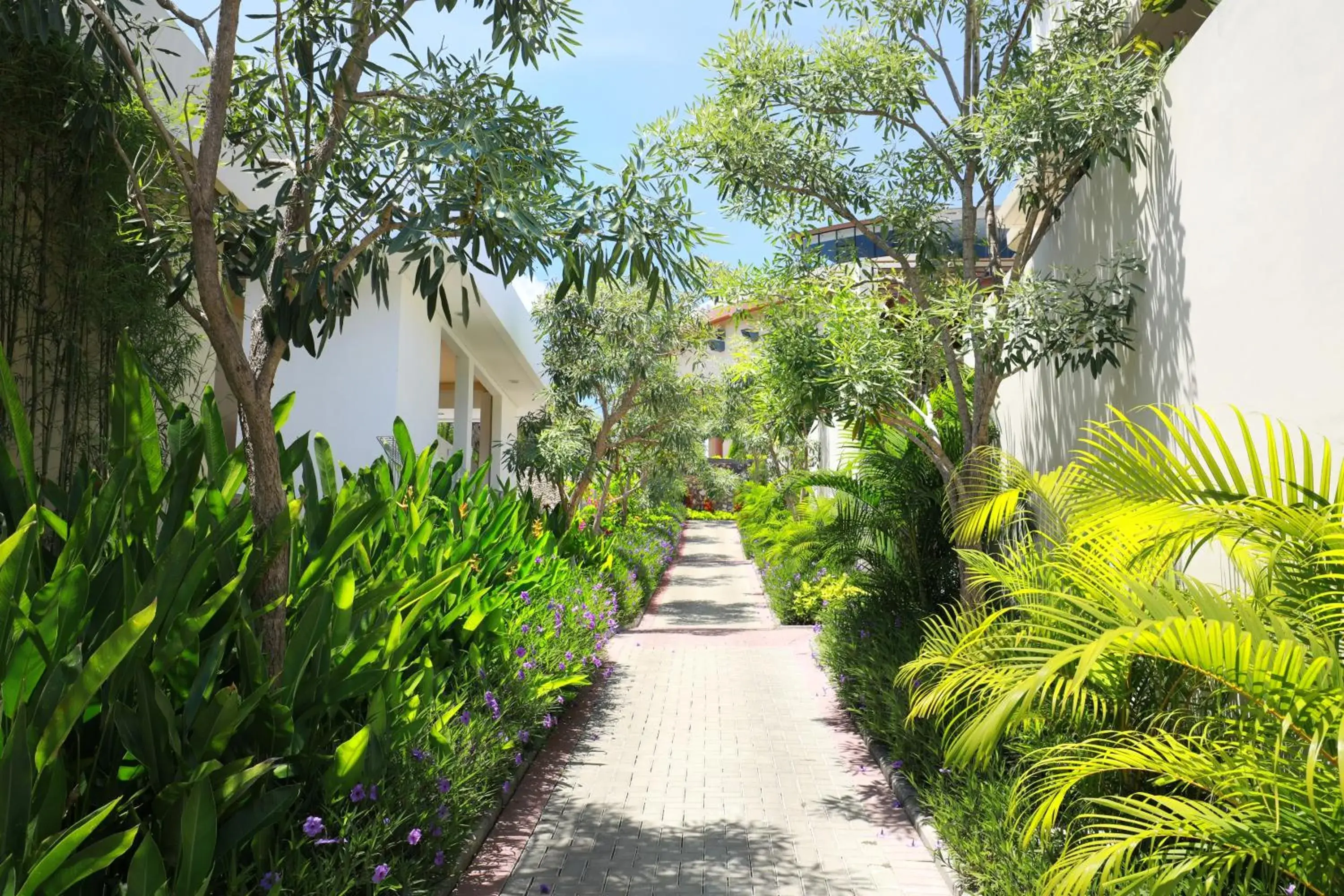 Garden view in The Miracle Villa Nusa Dua Garden view in The Miracle Villa Nusa Dua