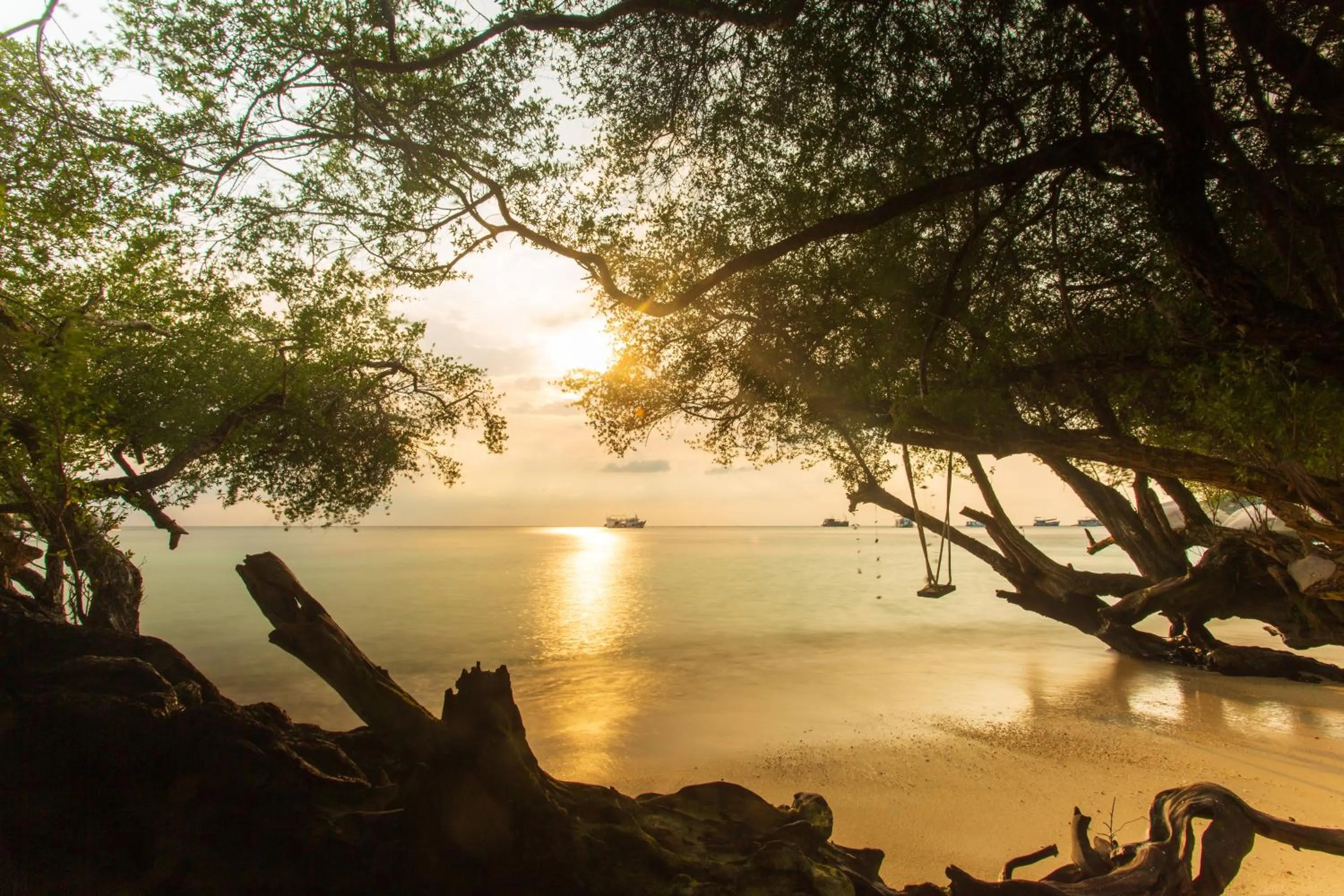 Natural landscape in Koh Tao Relax Freedom Beach Resort