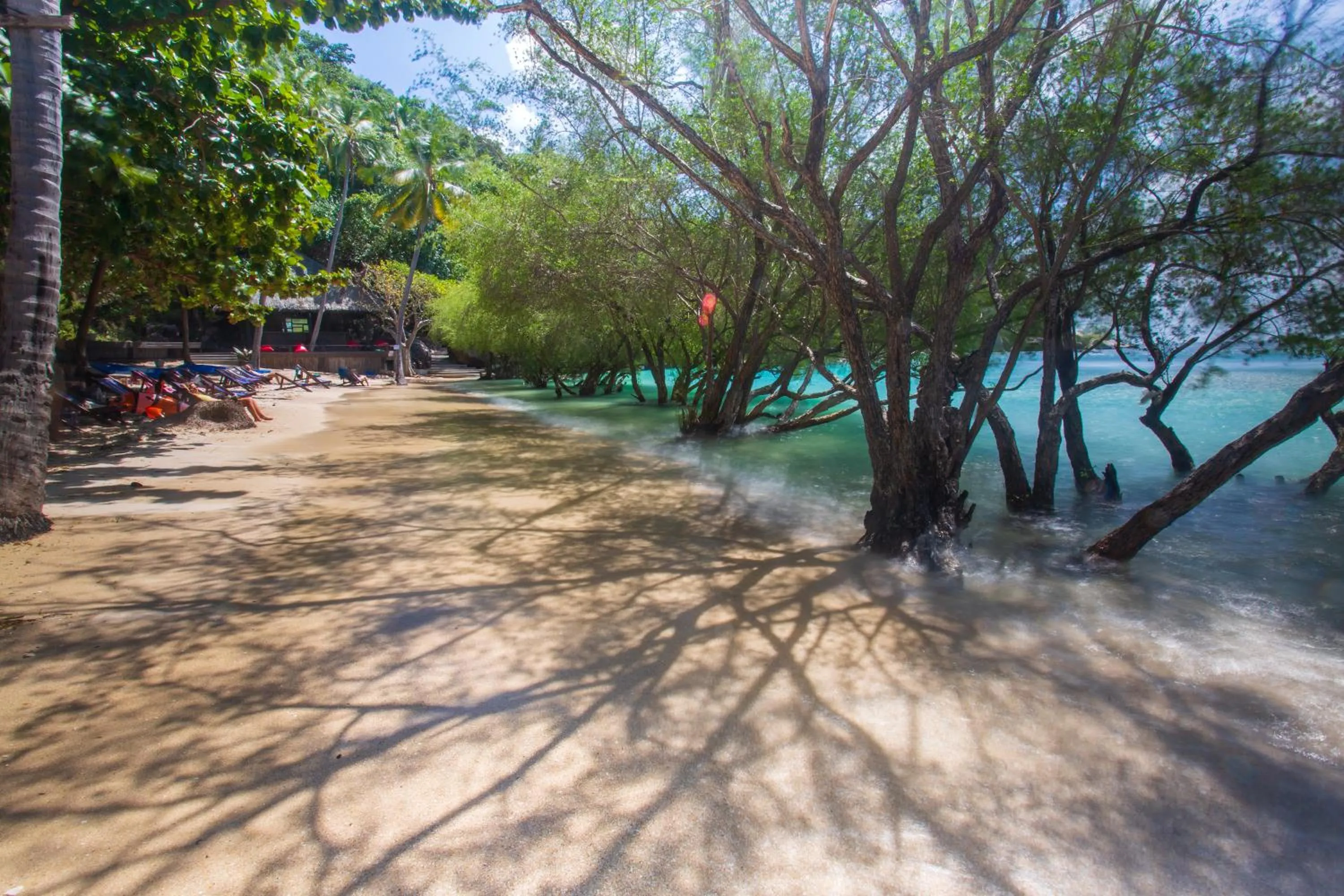Beach in Koh Tao Relax Freedom Beach Resort
