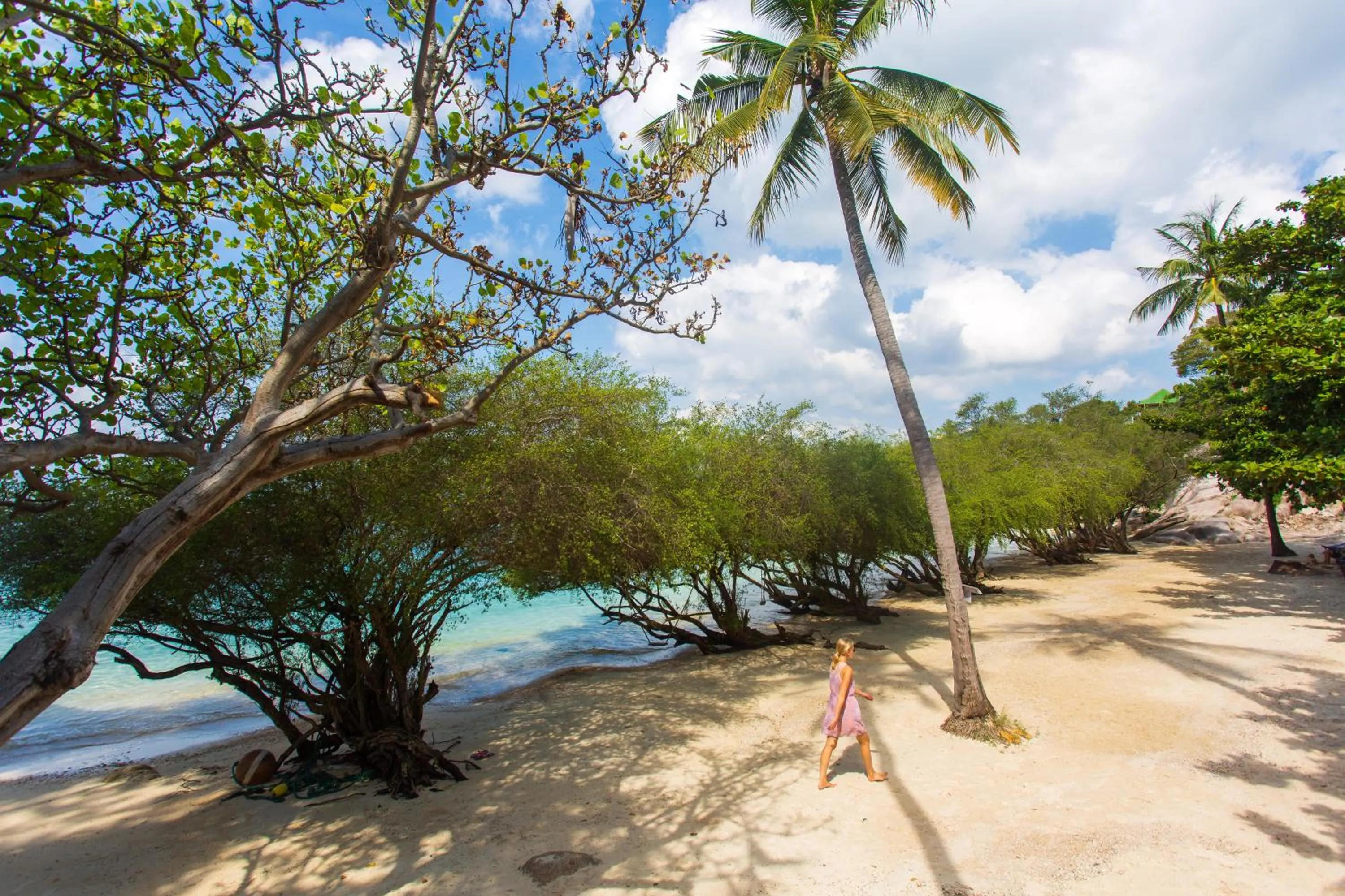 Beach in Koh Tao Relax Freedom Beach Resort