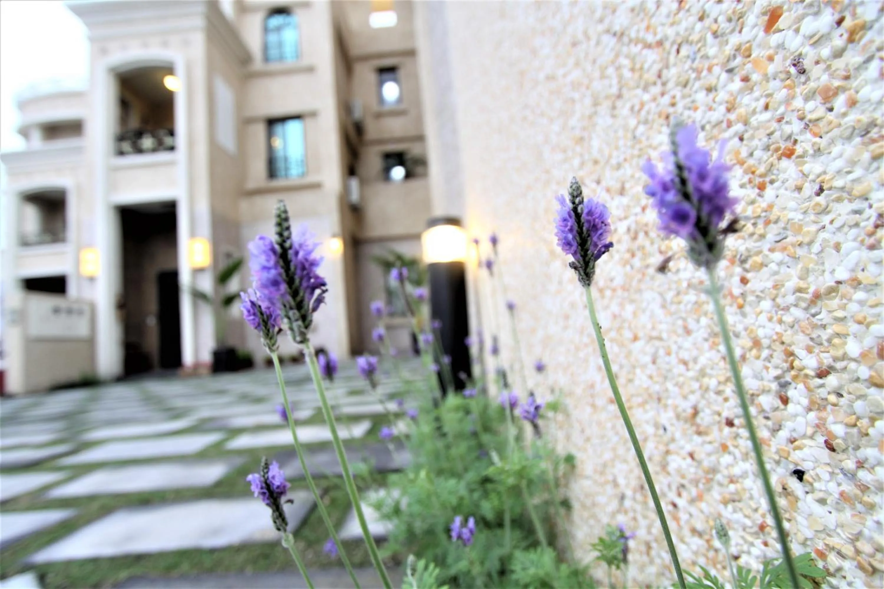 Off site in East Coast