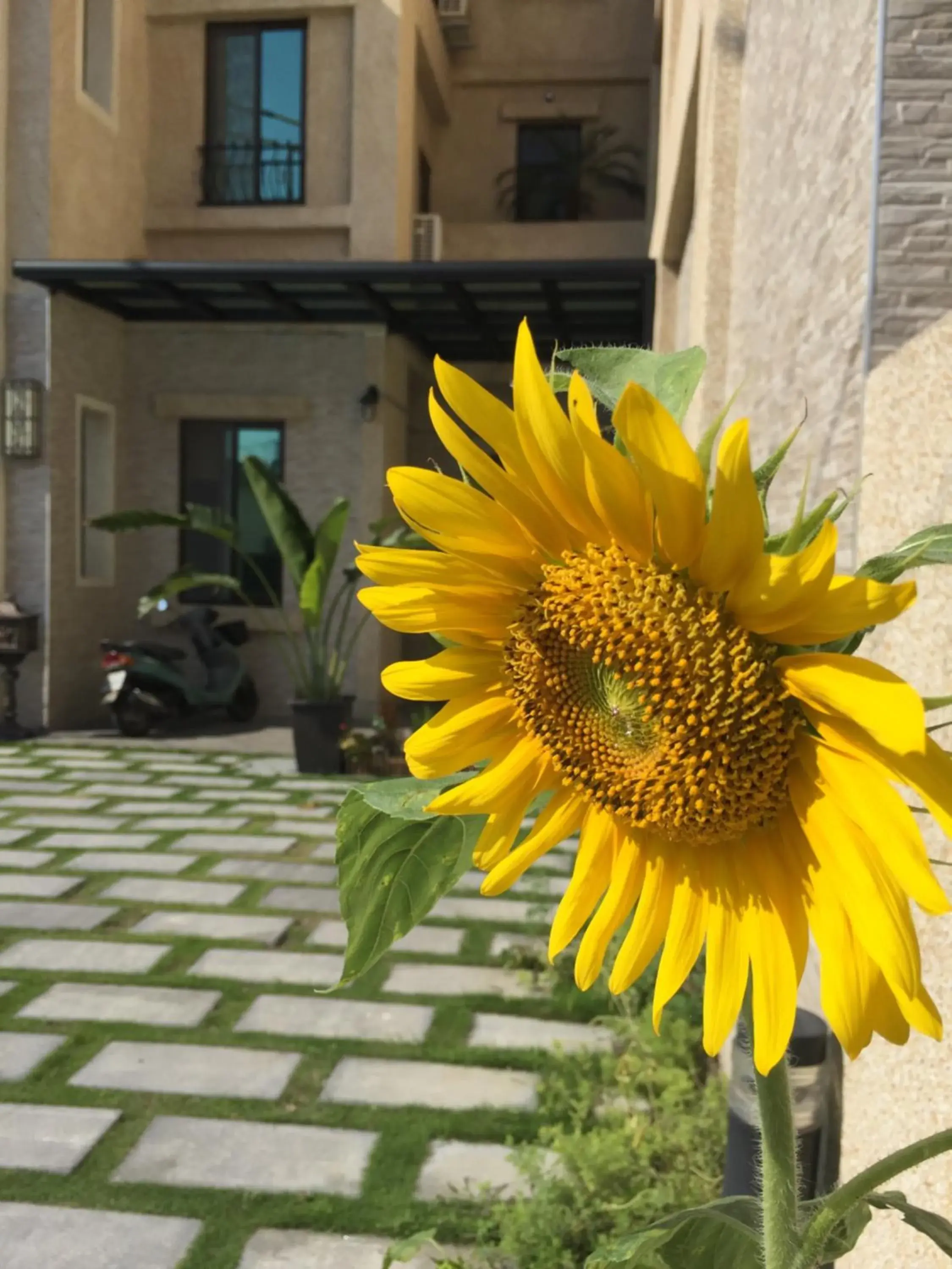 Facade/entrance in East Coast Facade/entrance in East Coast